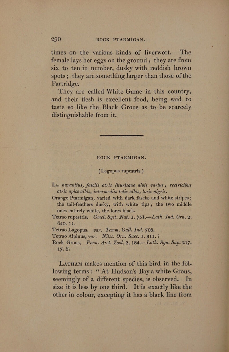times on the various kinds of liverwort. ‘The female lays her eggs on the ground ; they are from six to ten in number, dusky with reddish brown spots; they are something larger than those of the Partridge. They are called White Game in this country, and their flesh is excellent food, being said to taste so like the Black Grous as to be BUHEC ERS distinguishable from it. ROCK PTARMIGAN. (Lagopus rupestris.) La. aurantius, fasciis atris liturisque albis varius ; rectricibus atris apice albis, intermediis totis albis, loris nigris. Orange Ptarmigan, varied with dark fasciz and white stripes ; the tail-feathers dusky, with white tips; the two middle ones entirely white, the lores black. Tetrao rupestris. Gmel. Syst. Nat. 1. 751.—Lath. Ind. Orn, 2. 640. 11. Tetrao Lagopus. var. Temm. Gall. Ind. 708. Tetrao Alpinus, var, Nilss. Orn. Suec. 1. 311. ? Rock Grous, Penn. Arct. Zool. 2. 184,.— Lath. Syn. Sup. 217. 17.6. LatHaM makes mention of this bird in the fol- lowing terms: ‘* At Hudson’s Bay a white Grous, seemingly of a different species, is observed. In size it is less by one third. It is exactly like the other in colour, excepting it has a black line from 2