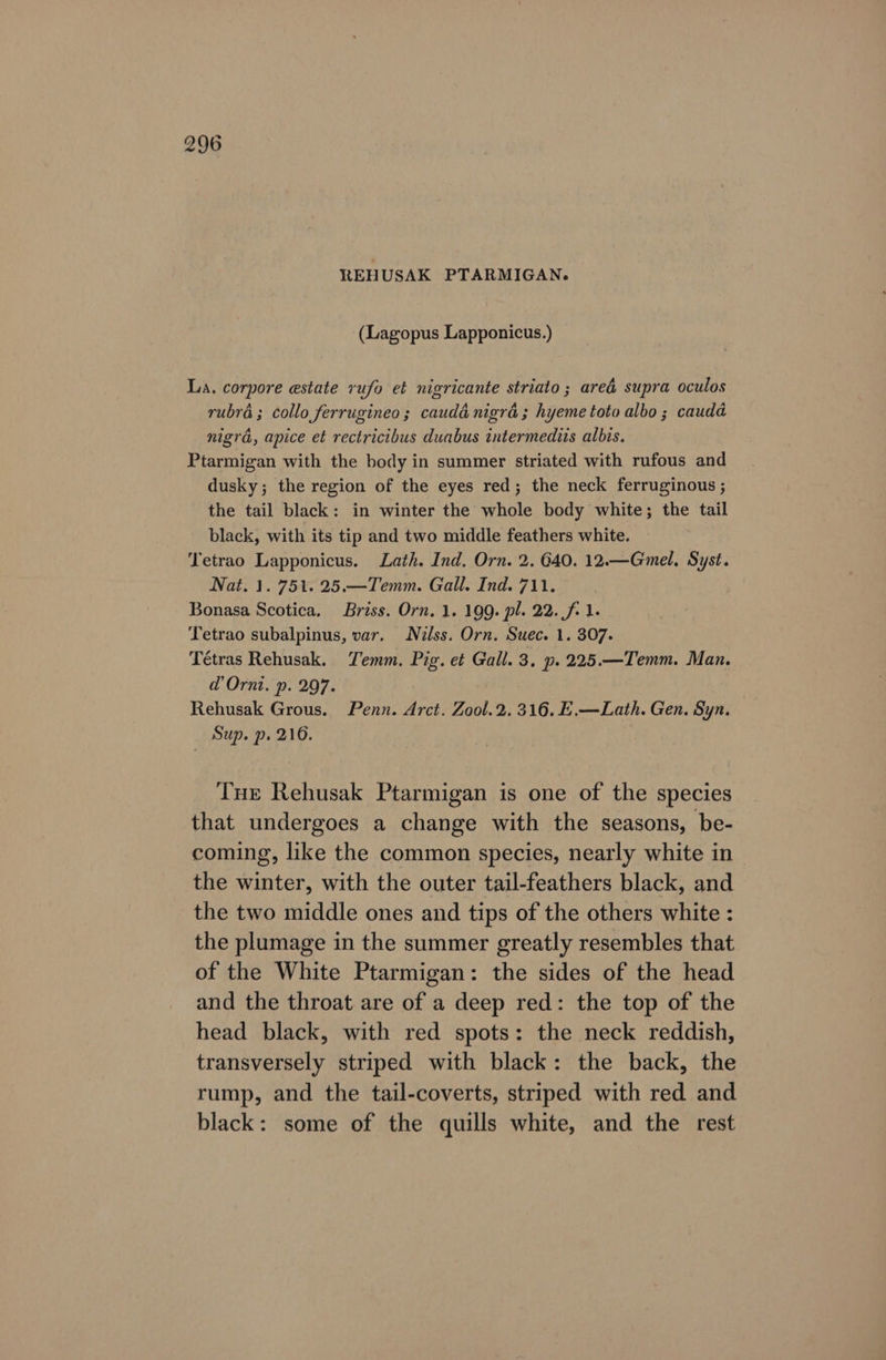 REHUSAK PTARMIGAN. (Lagopus Lapponicus.) La. corpore estate rufo et nigricante striato ; ared supra oculos rubra; collo ferrugineo; caudé nigra; hyeme toto albo ; cauda nigra, apice et rectricibus duabus intermediis albis. Ptarmigan with the body in summer striated with rufous and dusky; the region of the eyes red; the neck ferruginous ; the tail black: in winter the whole body white; the tail black, with its tip and two middle feathers white. Tetrao Lapponicus. Lath. Ind. Orn. 2. G40. 12.—Gmel, Syst. Nat. 1. 751. 25.—Temm. Gall. Ind. 711. Bonasa Scotica. Briss. Orn, 1. 199. pl. 22. f- 1. Tetrao subalpinus, var. Niélss. Orn. Suec. 1. 307. Tétras Rehusak. Temm. Pig. et Gall. 3. p.225.—Temm. Man. d’Orni. p. 297. Rehusak Grous. Penn. Arct. Zool.2. 316. E.—Lath. Gen. Syn. Sup. p, 216. Tue Rehusak Ptarmigan is one of the species that undergoes a change with the seasons, be- coming, like the common species, nearly white in the winter, with the outer tail-feathers black, and the two middle ones and tips of the others white : the plumage in the summer greatly resembles that of the White Ptarmigan: the sides of the head and the throat are of a deep red: the top of the head black, with red spots: the neck reddish, transversely striped with black: the back, the rump, and the tail-coverts, striped with red and black: some of the quills white, and the rest