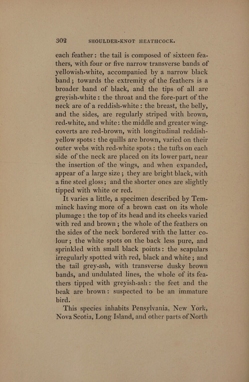 each feather: the tail is composed of sixteen fea- thers, with four or five narrow transverse bands of yellowish-white, accompanied by a narrow black band; towards the extremity of the feathers is a broader band of black, and the tips of all are greyish-white: the throat and the fore-part of the neck are of a reddish-white : the breast, the belly, and the sides, are regularly striped with brown, red-white, and white: the middle and greater wing- coverts are red-brown, with longitudinal reddish- yellow spots: the quills are brown, varied on their outer webs with red-white spots: the tufts on each side of the neck are placed on its lower part, near the insertion of the wings, and when expanded, appear of a large size; they are bright black, with a fine steel gloss; and the shorter ones are slightly tipped with white or red. It varies a little, a specimen described by Tem- minck having more of a brown cast on its whole plumage : the top of its head and its cheeks varied with red and brown; the whole of the feathers on the sides of the neck bordered with the latter co- lour; the white spots on the back less pure, and sprinkled with small black points: the scapulars irregularly spotted with red, black and white ; and the tail grey-ash, with transverse dusky brown bands, and undulated lines, the whole of its fea- thers tipped with greyish-ash: the feet and the beak are brown: suspected to be an immature bird. This species inhabits Pensylvania, New York, Nova Scotia, Long Island, and other parts of North