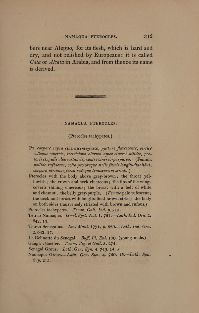 bers near Aleppo, for its flesh, which is hard and dry, and not relished by Europeans: it is called Cata or Alcata in Arabia, and from thence its name is derived. NAMAQUA PTEROCLES. (Pterocles tachypetes. ) Pr. corpore supra cinerascente-fusco, gutture flavescente, vertice colloque cinereis, tectricibus alarum apice cinereo-nitidis, pec- torts cingulis albo castaneis, ventre cinereo-purpureo. (Femina pallide rufescens, collo pectoreque striis fuscis longitudinalibus, corpore utrinque fusco rufoque transversim striato.) Pterocles with the body above grey-brown; the throat yel- lowish; the crown and neck cinereous; the tips of the wing- coverts shininy cinereous; the breast with a belt of white and chesnut; the belly grey-purple. (Female pale rufescent ; the neck and breast with longitudinal brown strie; the body on both sides transversely striated with brown and rufous.) Pterocles tachypetes. Temm. Gall. Ind. p.715. Tetrao Namaqua, Gmel. Syst. Nat. 1. 754.—Lath. Ind. Orn. 2. 642. 19. Tetrao Senegalus. Lin. Mant. 1771. p. 526.—Lath. Ind. Orn. 2.642. 17. La Gelinotte du Senegal. Buff. Pl. Enl, 130. (young male.) Ganga vélocifer. Temm. Pig. et Gall. 3. 274. Senegal Grous. Lath. Gen. Syn. 4. 74Q. 14. A. Namaqua Grous.—Lath. Gen. Syn. 4. 750. 15.—Lath, Syn. Sup, 215, 7