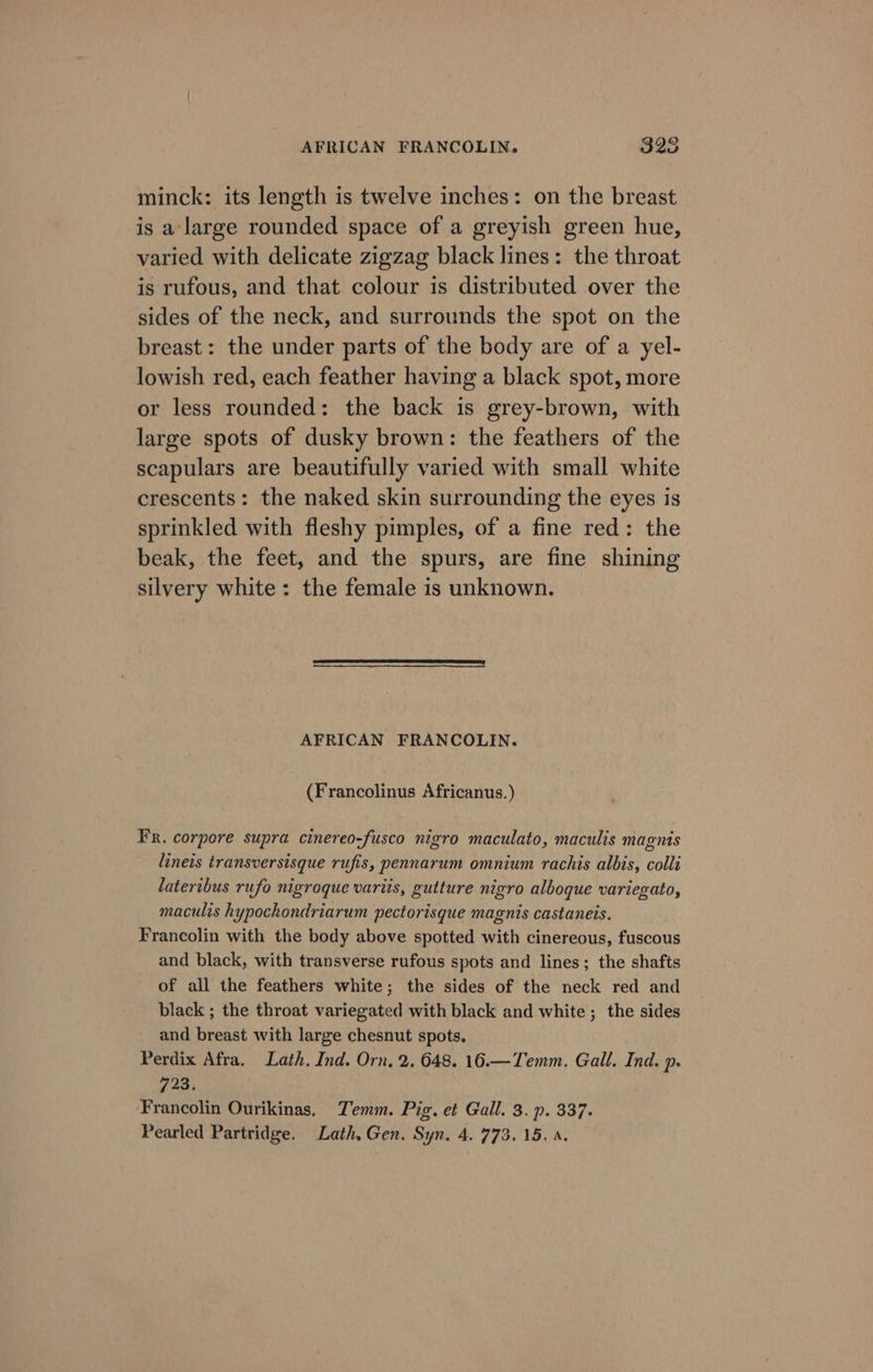 minck: its length is twelve inches: on the breast is a large rounded space of a greyish green hue, varied with delicate zigzag black lines: the throat is rufous, and that colour is distributed over the sides of the neck, and surrounds the spot on the breast: the under parts of the body are of a yel- lowish red, each feather having a black spot, more or less rounded: the back is grey-brown, with large spots of dusky brown: the feathers of the scapulars are beautifully varied with small white crescents: the naked skin surrounding the eyes is sprinkled with fleshy pimples, of a fine red: the beak, the feet, and the spurs, are fine shining silvery white: the female is unknown. AFRICAN FRANCOLIN. (Francolinus Africanus.) FR. corpore supra cinereo-fusco nigro maculato, maculis magnis lineis transversisque rufis, pennarum omnium rachis albis, colli lateribus rufo nigroque variis, gutture nigro alboque variegato, maculis hypochondriarum pectorisque magnis castaneis. Francolin with the body above spotted with cinereous, fuscous and black, with transverse rufous spots and lines; the shafts of all the feathers white; the sides of the neck red and black ; the throat variegated with black and white ; the sides and breast with large chesnut spots. Perdix Afra. Lath. Ind. Orn, 2, 648. 16.—Temm. Gall. Ind. p. 793, ‘Francolin Ourikinas, Temm. Pig. et Gall. 3. p. 337.