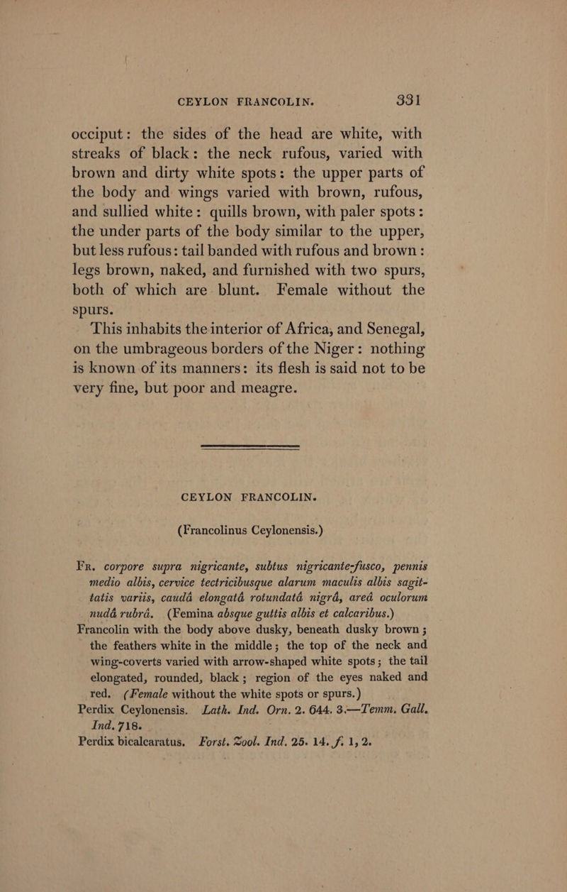 occiput: the sides of the head are white, with streaks of black: the neck rufous, varied with brown and dirty white spots: the upper parts of the body and wings varied with brown, rufous, and sullied white: quills brown, with paler spots : the under parts of the body similar to the upper, but less rufous: tail banded with rufous and brown : legs brown, naked, and furnished with two spurs, both of which are blunt. Female without the spurs. This inhabits the interior of Africa, and Senegal, on the umbrageous borders of the Niger: nothing is known of its manners: its flesh is said not to be very fine, but poor and meagre. CEYLON FRANCOLIN. (Francolinus Ceylonensis.) FR. corpore supra nigricante, subtus nigricante-fusco, pennis medio albis, cervice tectricibusque alarum maculis albis sagit- tatis variis, caudd elongaté rotundaté nigrd, ared oculorum nudé rubra. (Femina absque guttis albis et calcaribus.) Francolin with the body above dusky, beneath dusky brown ; the feathers white in the middle; the top of the neck and wing-coverts varied with arrow-shaped white spots; the tail elongated, rounded, black; region of the eyes naked and red. (Female without the white spots or spurs. ) Perdix Ceylonensis. Lath. Ind. Orn. 2. 644. 3.—Temm. Gall. Ind. 718. Perdix bicalearatus, Forst. ool. Ind. 25. 14. f. 1, 2.