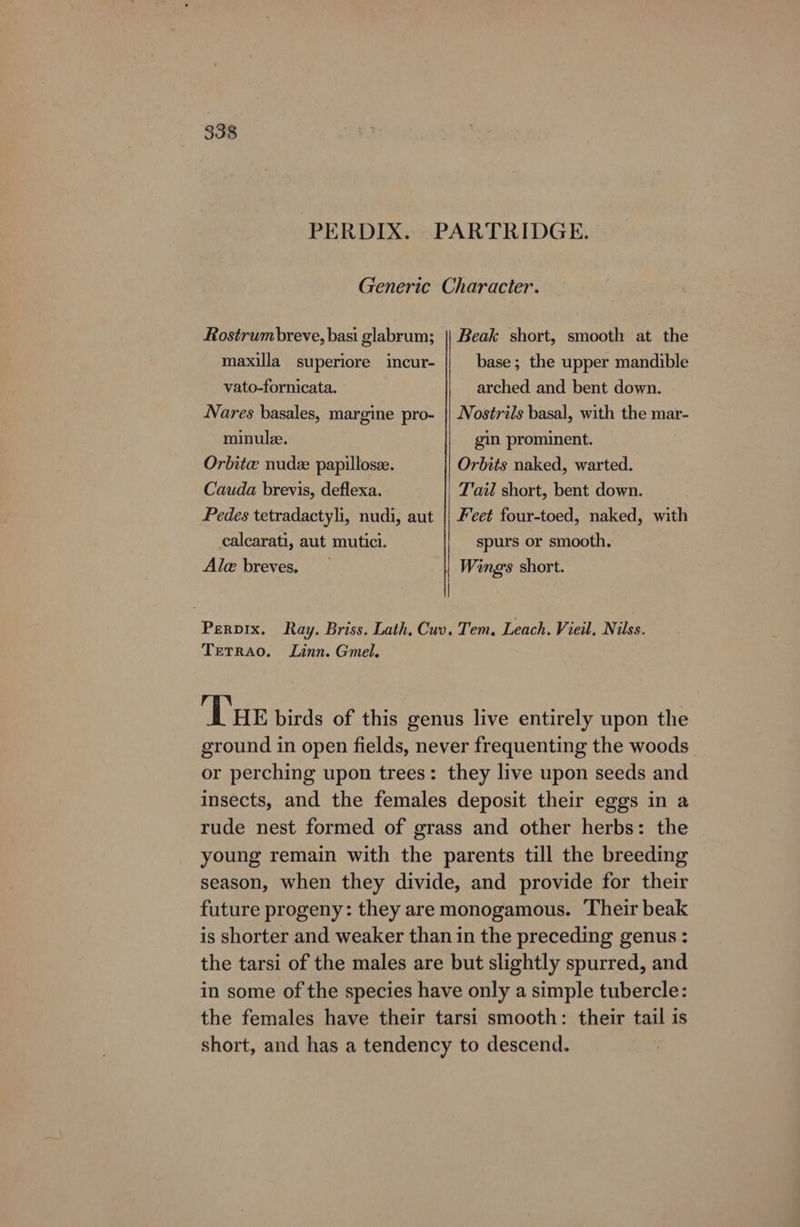 Rostrumbreve, basi glabrum; maxilla superiore incur- vato-fornicata. Nares basales, margine pro- minulee. Orbite nude papillosze. Cauda brevis, deflexa. Pedes tetradactyli, nudi, aut calcarati, aut mutici. Ale breves. Beak short, smooth at the base ; the upper mandible arched and bent down. Nostrils basal, with the mar- gin prominent. Orbits naked, warted. Tail short, bent down. Feet four-toed, naked, with spurs or smooth. Wings short. Pervix. Ray. Briss. Lath, Cuv. Tem. Leach. Vieil. Nils. Tetrao. Linn. Gmel. Tur birds of this genus live entirely upon the ground in open fields, never frequenting the woods or perching upon trees: they live upon seeds and insects, and the females deposit their eggs in a rude nest formed of grass and other herbs: the young remain with the parents till the breeding season, when they divide, and provide for their future progeny: they are monogamous. Their beak is shorter and weaker than in the preceding genus : the tarsi of the males are but slightly spurred, and in some of the species have only a simple tubercle: the females have their tarsi smooth: their tail is short, and has a tendency to descend.