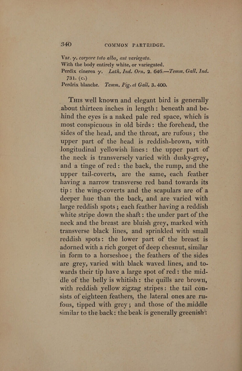 Var. y. corpore toto albo, aut variegato. With the body entirely white, or variegated. Perdix cinerea y. Lath, Ind. Orn, 2. 646.—Temm. Gall, Ind. fal. (C-) Perdrix blanche. Temm, Pig. et Gall. 3. 400. Tuis well known and elegant bird is generally _about thirteen inches in length: beneath and be- hind the eyes is a naked pale red space, which is most conspicuous in old birds: the forehead, the sides of the head, and the throat, are rufous; the upper part of the head is reddish-brown, with longitudinal yellowish lines: the upper part of the neck is transversely varied with dusky-grey, and a tinge of red: the back, the rump, and the upper tail-coverts, are the same, each feather having a narrow transverse red band towards its tip: the wing-coverts and the scapulars are of a deeper hue than the back, and are varied with large reddish spots; each feather having a reddish white stripe down the shaft: the under part of the neck and the breast are bluish grey, marked with transverse black lines, and sprinkled with small reddish spots: the lower part of the breast is adorned with a rich gorget of deep chesnut, similar in form to a horseshoe; the feathers of the sides are grey, varied with black waved lines, and to- wards their tip have a large spot of red: the mid- dle of the belly is whitish: the quills are brown, with reddish yellow zigzag stripes: the tail con- sists of eighteen feathers, the lateral ones are ru- fous, tipped with grey; and those of the middle similar to the back: the beak is generally greenish: