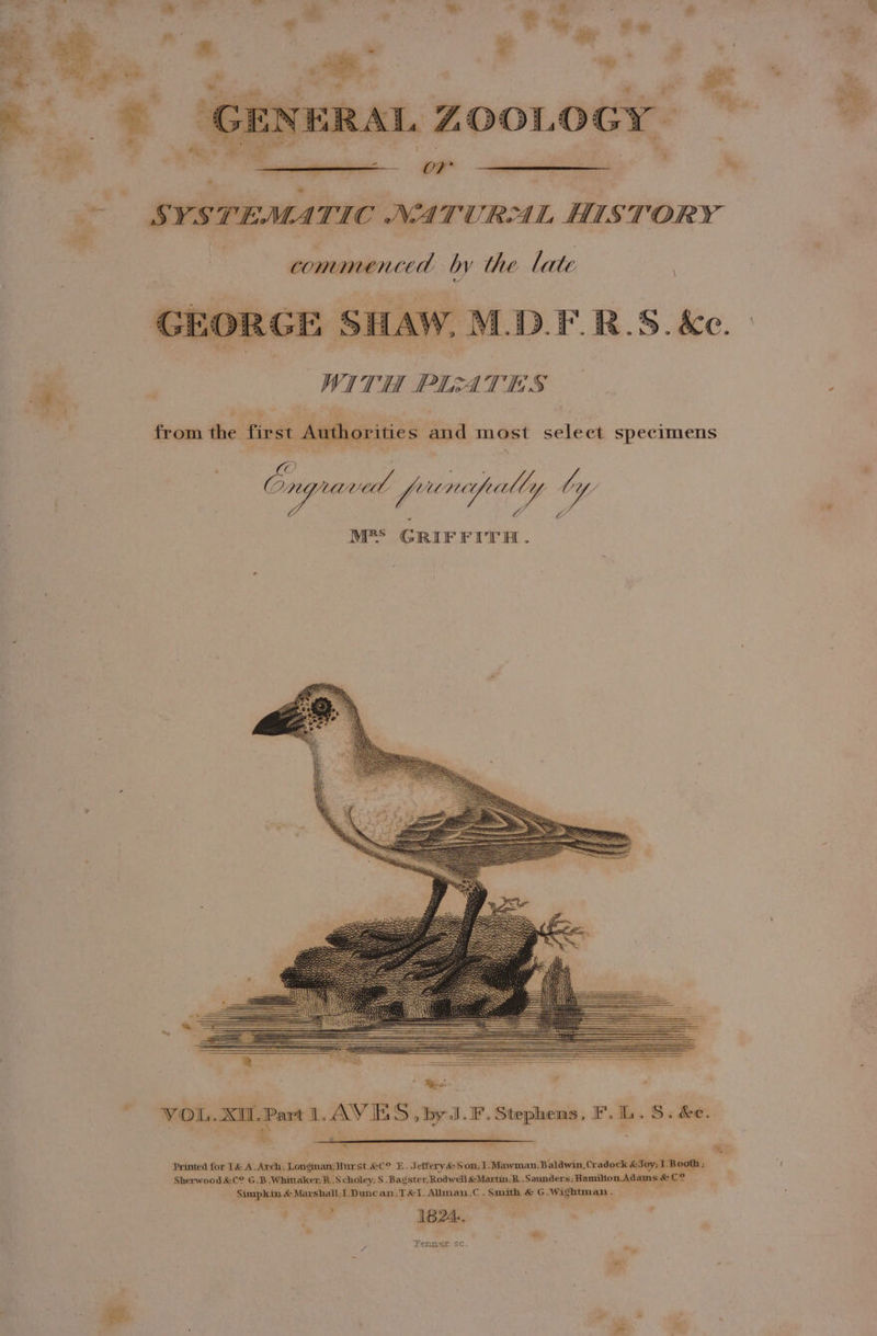 ’ commenced by the late RGE SHAW, M.D.F.R.S. &amp;e. WITH PLATES from the first Authorities and most select specimens a O ; ; ; y : Y alas MES GRIFFITH. ; 4 ae Printed for 1&amp; A. Arch, Longman;Hurst &amp;C° 5. Jeffery&amp; S$ on; 1.Mawman;Baldwin,Cradock &amp;Joy:1. Booth ; Sherwood &amp;C° G.B .Whittaker, R.S choley; S Bagster, Rodwell &amp;Martin:R .Saunders;Hamilton Adams &amp;C° Simpkin &amp; Marshall;I.Duncan;T I. Allman.C . Smith &amp; G.Wightman . ; mes an a 1624, Fenner, sc. +