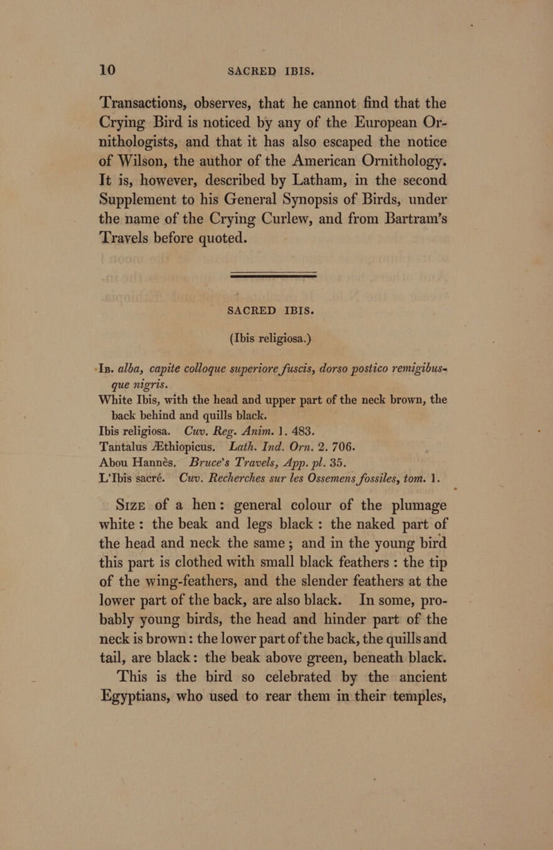 Transactions, observes, that he cannot find that the Crying Bird is noticed by any of the European Or- nithologists, and that it has also escaped the notice of Wilson, the author of the American Ornithology. It is, however, described by Latham, in the second Supplement to his General Synopsis of Birds, under the name of the Crying Curlew, and from Bartram’s Travels before quoted. SACRED IBIS. (Ibis religiosa.) ‘In. alba, capite colloque superiore fuscis, dorso postico remigibus~ que nigris. White Ibis, with the head and upper part of the neck brown, the back behind and quills black. Ibis religiosa. Cuv. Reg. Anim. 1. 483. Tantalus Aithiopicus. Lath. Ind. Orn. 2. 706. Abou Hannés, Bruce’s Travels, App. pl. 35. L’Ibis sacré. Cuv. Recherches sur les Ossemens fossiles, tom. 1. Size of a hen: general colour of the plumage white: the beak and legs black: the naked part of the head and neck the same; and in the young bird this part is clothed with small black feathers : the tip of the wing-feathers, and the slender feathers at the lower part of the back, are also black. In some, pro- bably young birds, the head and hinder part of the neck is brown: the lower part of the back, the quills and tail, are black: the beak above green, beneath black. This is the bird so celebrated by the ancient Egyptians, who used to rear them in their temples,