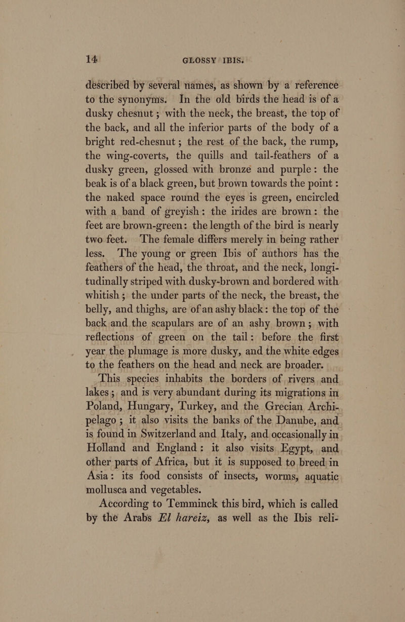 described by several names, as shown by a reference to the synonyms. In the old birds the head is of a dusky chesnut ; with the neck, the breast, the top of the back, and all the inferior parts of the body of a bright red-chesnut ; the rest of the back, the rump, the wing-coverts, the quills and tail-feathers of a dusky green, glossed with bronze and purple: the beak is of a black green, but brown towards the point : the naked space round the eyes is green, encircled with a band of greyish: the irides are brown: the feet are brown-green: the length of the bird is nearly two feet. ‘The female differs merely in being rather less. The young or green Ibis of authors has the feathers of the head, the throat, and the neck, longi- tudinally striped with dusky-brown and bordered with whitish ; the under parts of the neck, the breast, the belly, and thighs, are ofan ashy black: the top of the back and the scapulars are of an ashy brown; with reflections of green on the tail: before the first year the plumage is more dusky, and the white edges to the feathers on the head and neck are broader. This species inhabits the borders of rivers and lakes; and 1s very abundant during its migrations in Poland, Hungary, Turkey, and the Grecian Archi- pelago ; it also visits the banks of the Danube, and is found in Switzerland and Italy, and occasionally in Holland and England: it also visits Egypt, and other parts of Africa, but it is supposed to breed in Asia: its food consists of insects, worms, aquatic mollusca and vegetables. According to Temminck this bird, which is called by the Arabs E/ hareiz, as well as the Ibis reli-