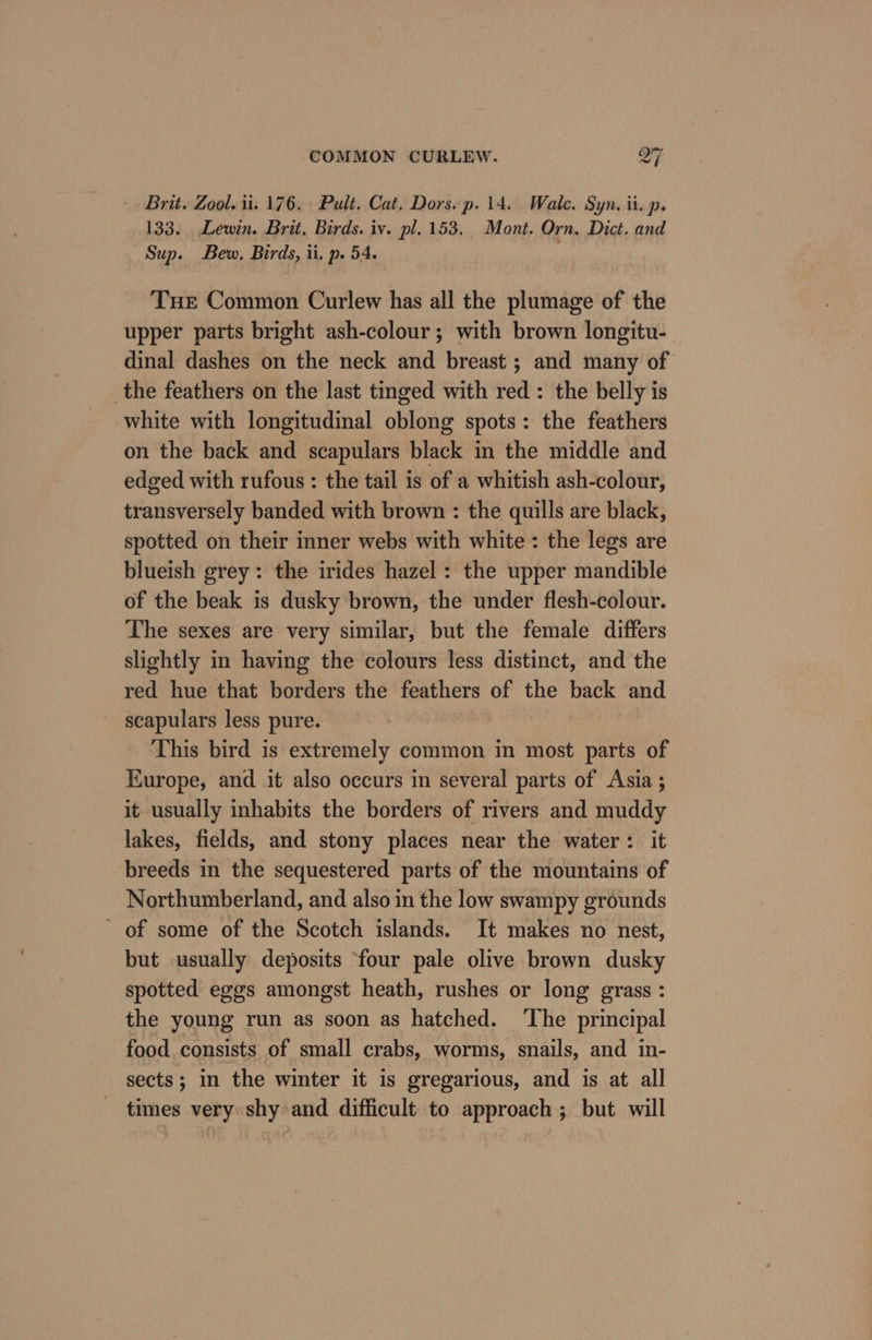 - Brit. Zool. ii. 176. Pult, Cat. Dors.p. 14. Wale. Syn. ii. p. 133. Lewin. Brit. Birds. iv. pl. 153. Mont. Orn, Dict. and Sup. Bew, Birds, ii. p. 54. Tue Common Curlew has all the plumage of the upper parts bright ash-colour; with brown longitu- dinal dashes on the neck and breast ; and many of the feathers on the last tinged with red : the belly is white with longitudinal oblong spots : the feathers on the back and scapulars black in the middle and edged with rufous : the tail is of a whitish ash- colour, eatiniendy banded with brown : the quills are black, spotted on their inner webs with white : the legs are blueish grey: the irides hazel: the upper mandible of the beak is dusky brown, the under flesh-colour. The sexes are very similar, but the female differs slightly in having the colours less distinct, and the red hue that borders the feathers of the back and scapulars less pure. This bird is extremely common in most parts of Europe, and it also occurs in several parts of Asia ; it usually inhabits the borders of rivers and muddy lakes, fields, and stony places near the water: it breeds in the sequestered parts of the mountains of Northumberland, and also in the low swampy grounds - ' of some of the Scotch islands. It makes no nest, but usually deposits four pale olive brown dusky spotted eggs amongst heath, rushes or long grass : the young run as soon as hatched. ‘The principal food consists of small crabs, worms, snails, and in- sects; in the winter it is gregarious, and is at all times very shy and difficult to approach ; but will