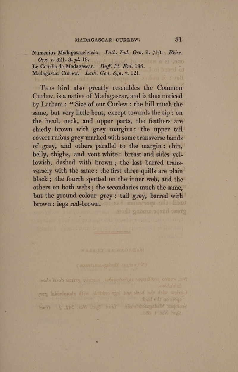 Numenius Madagascariensis. Lath. Ind. Orn.-ii..710.. Briss. _ Orn. v. 321. 3. pl. 18. Le Courlis de Madagascar. Buff. Pl. Enl. 198. Madagascar Curlew. Lath. Gen. Syn. v. 121. Tuis bird also greatly resembles the Common Curlew, is a native of Madagascar, and is thus noticed by Latham: ‘Size of our Curlew : the bill much the same, but very little bent, except towards the tip: on the head, neck, and upper parts, the feathers are chiefly brown with grey margins: the upper tail covert rufous grey marked with some transverse bands of grey, and others parallel to the margin: chin, belly, thighs, and vent white: breast and sides yel- lowish, dashed with brown; the last barred trans- versely with the same: the first three quills are plain black ; the fourth spotted on the inner web, and the others on both webs ; the secondaries much the same, but the ground colour grey: tail grey, barred with brown : legs red-brown. | |
