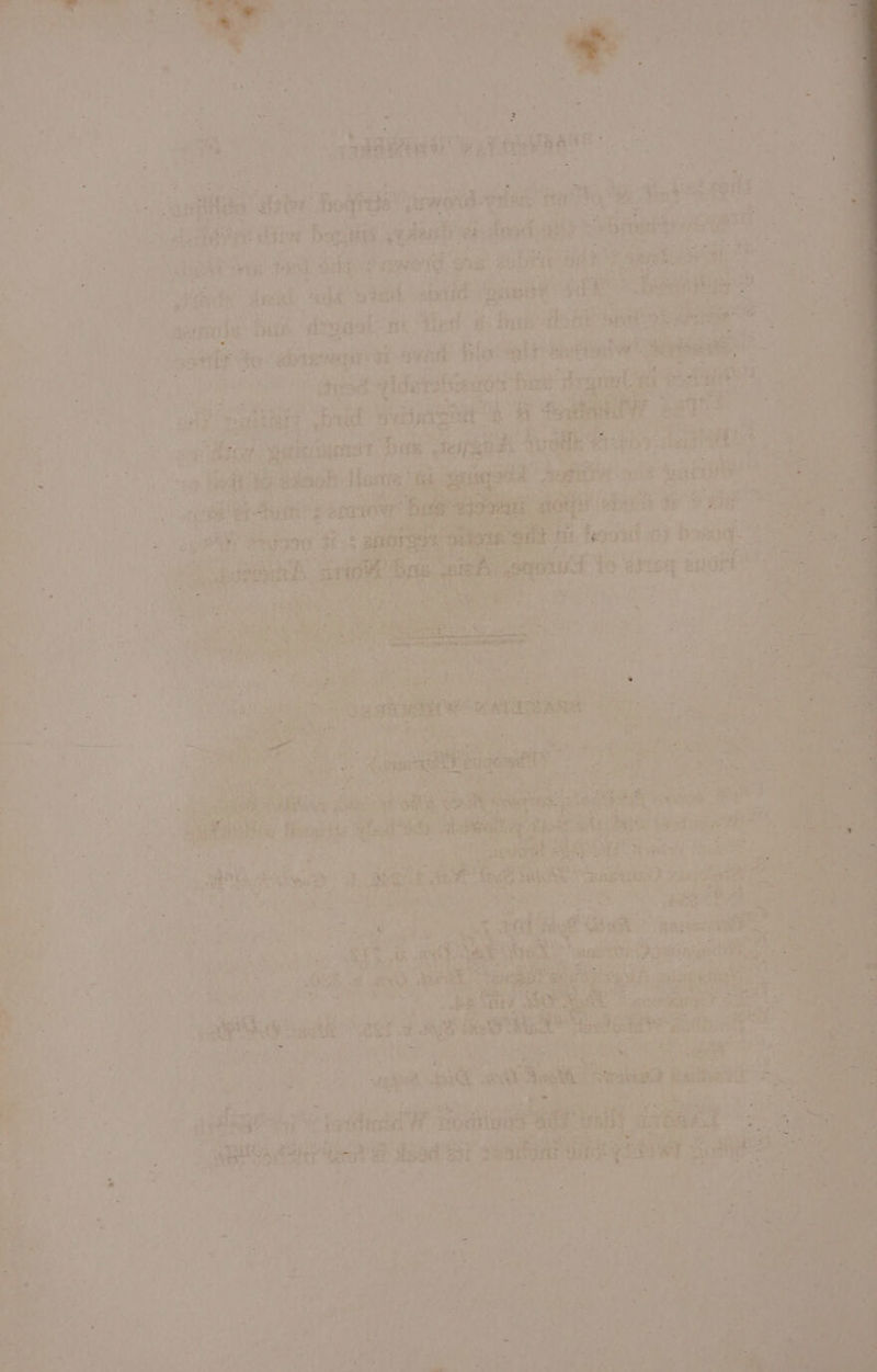 SR. cay oe me ick Eee a *, Oe = he . me , ie oe ks ity ae A .- : \ . ‘ she = - bl Cae, &gt; * . ‘ ; - s : FA * c+ 4 . * fe 5 - x hie - . a a. Me + - . = ond 44 ¢ ‘ A «&gt; st “4 . ae ee rs Tat peer? % AN : Tt A ‘ ‘ v ai Y ue Hi, B ax. We . M Esih A, 24)3 SER ne © va eet au ; “ar $&lt; ; AE 5 : 1 ee OS Te vee | “aly iti “ae aa a i z reall iret : ; ee aa AGRE MAGN pi De Ae fer, Be ap ss see Sa: $3! bat. SS ae eee Dae eae ioe aan a ial nae ae what: phe are Ps est Rpeeaer bie utgaat” at Yied o: hapten, leans od ( apd yldetsiedo4 hen Thar eta 4 pt ee wae Te Aq fej } y: pass ee : st igs bea : cm Tea a Heal: Ba. lara ig sq at oe tn yf e yate un pines eo Dee i peat nay b &amp; Mere aie hibien 8 Jy Laon eR adthes To, eS an ‘ie ie Fit tte ite naa piety tak? a ee ot x bt Bs i* / pom — - * -. Fe Sy So Peg “ 4; ] es y aa ear “aie = er ae iy *: Se, ene are pepe a Bi MAG Vee - Se rede + E+ % ea A 5 24 Kath © ‘Nakai ae a 7) Sheak Ese ‘i ee fia “ad 7 Waring sities x “ 3 : wil ied Kat Pat ATA Vee ae oe oS Ce a ae MAT! Ay RIL Seeger cewis fener 7 A eee ee Hf % erty , 4 hee = ; We 39 ak. ‘é Bah ae ot oF nei Deis wae we | ‘ ee: