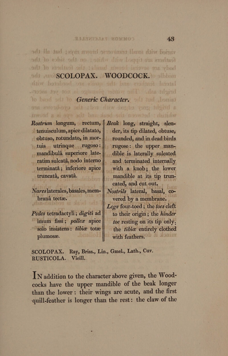 SCOLOPAX. WOODCOCK. Generic Character. Rostrum longum, | rectum, || Beak long, straight, slen- ‘ tenuisculum, apice dilatato, | der, its tip dilated, obtuse, obtuso, rotundato, in mor-|]_. rounded, and.in dead birds tuis utrinque _ rugoso: rugose : the upper, man- mandibula superiore late-|| . dible is. laterally sulcated _ ratim sulcata, nodo interno _ .and terminated. internally terminaté; inferiore apice|| with a knob; the lower truncata, cavata. ? mandible at. its tip trun- | cated, and cut, out. Nareslaterales, basales, mem- || Nostrids lateral, basal, co- brana tecte. | vered by a membrane. | Legs four-toed ; the foes cleft Pedes tetradactyli; digwti ad to their origin ; the hinder imum fissi; pollex apice|} oe resting on its tip only, » golo insistens: ¢2b2@ totee the tibice entirely clothed plumose. with feathers. SCOLOPAX. Ray, Briss., Lin., Gmel., Lath., Cuv. RUSTICOLA. Vieill. IN addition to the character above given, the Wood- cocks have the upper mandible of the beak longer than the lower: their wings are acute, and the first quill-feather is longer than the rest: the claw of the