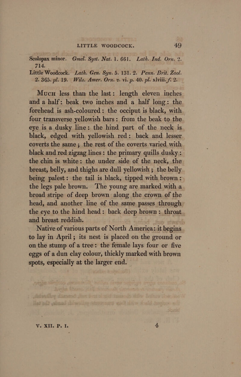 Scolopax minor. Gel. Syst. Nat. 1. 661. “Lath. Ind. Orn. 2. 714. | Little Woodcock. Lath. Gen. Syn. 5. 131. 2. Penn. Brit. Zool. 2. 365. pl. 19. Wils. Amer. Orn. ». vi. p. 40. pl. xlviii. f. 2. Mucus less than the last: length eleven inches and a half: beak two inches and a half long: the forehead is ash-coloured: the occiput is black, with four transverse yellowish bars: from the beak to the eye is a dusky line: the hind part of the neck is black, edged with yellowish red: back and lesser coverts the same ; the rest of the coverts varied with black and red zigzag lines: the primary quills dusky : the chin is white: the under side of the neck, the breast, belly, and thighs are dull yellowish ;_ the belly being palest: the tail is black, tipped with brown : the legs pale brown. The young are marked with a broad stripe of deep brown along the crown of the head, and another line of the same passes through the eye to the hind head: back deep brown :_ throat and breast reddish. Native of various parts of North America: it begins to lay in April; its nest is placed on the ground or on the stump of a tree: the female lays four or five eggs of a dun clay colour, thickly marked with brown spots, especially at the larger end. V. XI..P. I 4