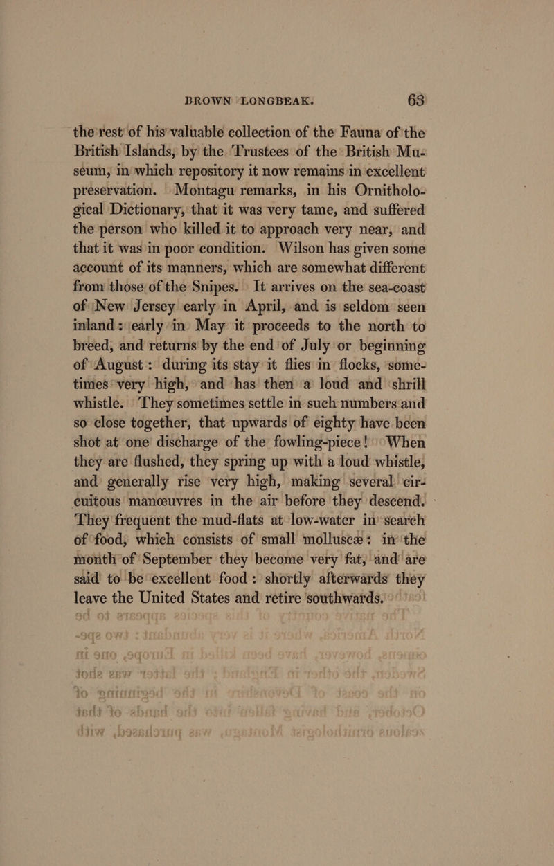 the'rest' of his valuable collection of the Fauna of the British Islands, by the ‘Trustees of the’ British Mu- seum, in which repository it now remains in excellent preservation. Montagu remarks, in his Ornitholo- gical Dictionary, that it was very tame, and suffered the person who killed it to approach very near, and that it was in poor condition. Wilson has given some account of its manners, which are somewhat different from those of the Snipes. It arrives on the sea-coast of New Jersey early in April, and is seldom seen inland: earlyin’ May it proceeds to the north to breed, and returns by the end of July or beginning of August: during its stay it flies in flocks, ‘some- times very high, and has then a loud and ‘shrill whistle. ‘They sometimes settle in such numbers and so close together, that upwards of eighty have been shot at one discharge of the fowling-piece!' When they are flushed, they spring up with a loud whistle, and generally rise very high, making several: cir- cuitous manceuvres in the air before they descend. — They frequent the mud-flats at low-water in’ search of food, which consists of small mollusce: inthe month of September they become very fat, and are said to be excellent food: shortly afterwards they leave the United States and retire southwards. &gt;