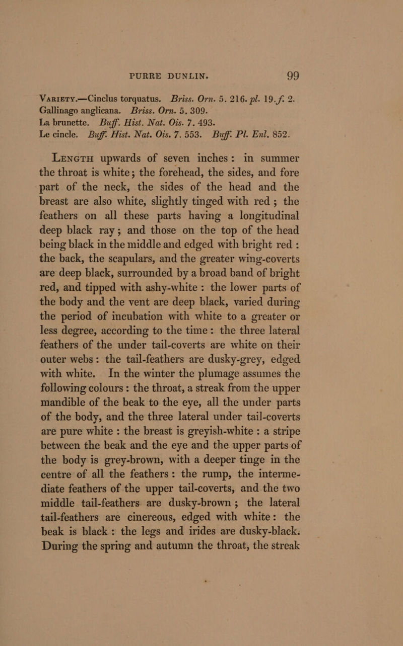 Variety.—Cinclus torquatus. Briss. Orn. 5. 216. pl. 19.f. 2. Gallinago anglicana. Briss. Orn. 5. 309. La brunette. Buff. Hist. Nat. Ois. 7. 493. Le cincle. Buff. Hist. Nat. Ois. 7.553. Buff. Pl. Enl. 852. LenetTH upwards of seven inches: in summer the throat is white; the forehead, the sides, and fore part of the neck, the sides of the head and the breast are also white, slightly tinged with red; the feathers on all these parts having a longitudinal deep black ray; and those on the top of the head being black in the middle and edged with bright red : the back, the scapulars, and the greater wing-coverts are deep black, surrounded by a broad band of bright red, and tipped with ashy-white : the lower parts of the body and the vent are deep black, varied during the period of incubation with white to a greater or less degree, according to the time: the three lateral feathers of the under tail-coverts are white on their outer webs: the tail-feathers are dusky-grey, edged with white. In the winter the plumage assumes the following colours: the throat, a streak from the upper mandible of the beak to the eye, all the under parts of the body, and the three lateral under tail-coverts are pure white : the breast is greyish-white : a stripe between the beak and the eye and the upper parts of the body is grey-brown, with a deeper tinge in the centre of all the feathers: the rump, the interme- diate feathers of the upper tail-coverts, and the two middle tail-feathers are dusky-brown; the lateral tail-feathers are cinereous, edged with white: the beak is black : the legs and irides are dusky-black. During the spring and autumn the throat, the streak