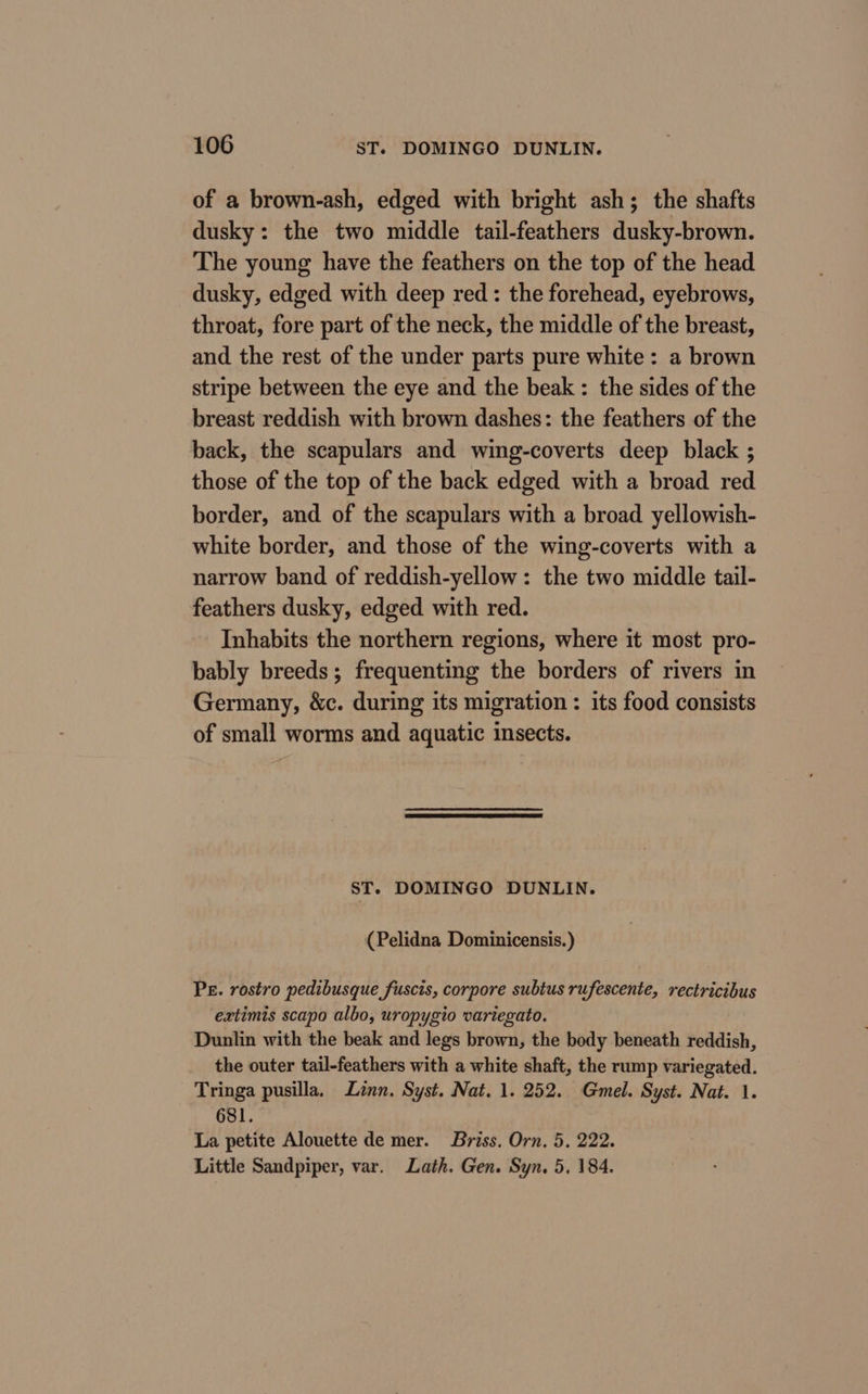 of a brown-ash, edged with bright ash; the shafts dusky: the two middle tail-feathers dusky-brown. The young have the feathers on the top of the head dusky, edged with deep red: the forehead, eyebrows, throat, fore part of the neck, the middle of the breast, and the rest of the under parts pure white: a brown stripe between the eye and the beak : the sides of the breast reddish with brown dashes: the feathers of the back, the scapulars and wing-coverts deep black ; those of the top of the back edged with a broad red border, and of the scapulars with a broad yellowish- white border, and those of the wing-coverts with a narrow band of reddish-yellow: the two middle tail- feathers dusky, edged with red. Inhabits the northern regions, where it most pro- bably breeds; frequenting the borders of rivers in Germany, &amp;c. during its migration : its food consists of small worms and aquatic insects. ST. DOMINGO DUNLIN. (Pelidna Dominicensis.) PE. rostro pedibusque fuscis, corpore subtus rufescente, rectricibus ‘eatimis scapo albo, uropygio variegato. Dunlin with the beak and legs brown, the body beneath reddish, the outer tail-feathers with a white shaft, the rump variegated. Tringa pusilla, Linn. Syst. Nat. 1. 252. Gmel. Syst. Nat. 1. 681. La petite Alouette de mer. Briss. Orn. 5. 222. Little Sandpiper, var. Lath. Gen. Syn. 5, 184.