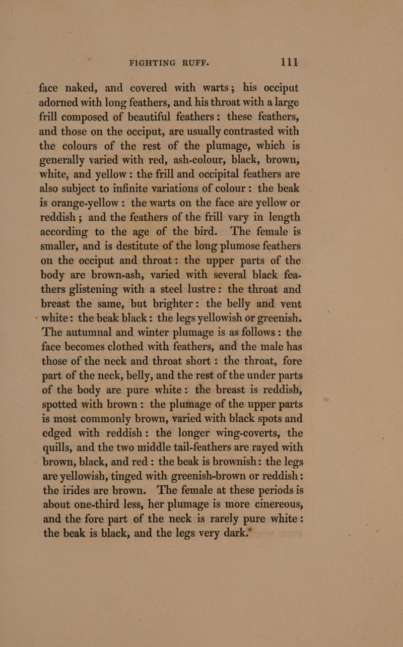 face naked, and covered with warts; his occiput adorned with long feathers, and his throat with a large frill composed of beautiful feathers: these feathers, and those on the occiput, are usually contrasted with the colours of the rest of the plumage, which is generally varied with red, ash-colour, black, brown, white, and yellow: the frill and occipital feathers are also subject to infinite variations of colour: the beak is orange-yellow: the warts on the face are yellow or reddish ; and the feathers of the frill vary in length according to the age of the bird. ‘The female is smaller, and is destitute of the long plumose feathers on the occiput and throat: the upper parts of the. body are brown-ash, varied with several black fea- thers glistening with a steel lustre: the throat and breast the same, but brighter: the belly and vent - white: the beak black: the legs yellowish or greenish. The autumnal and winter plumage is as follows: the face becomes clothed with feathers, and the male has those of the neck and throat short : the throat, fore part of the neck, belly, and the rest of the under parts of the body are pure white: the breast is reddish, spotted with brown: the plumage of the upper parts is most commonly brown, varied with black spots and edged with reddish: the longer wing-coverts, the quills, and the two middle tail-feathers are rayed with _ brown, black, and red : the beak is brownish: the legs are yellowish, tinged with greenish-brown or reddish : the irides are brown. ‘The female at these periods is about one-third less, her plumage is more cinereous, and the fore part of the neck is rarely pure white: the beak is black, and the legs very dark.”