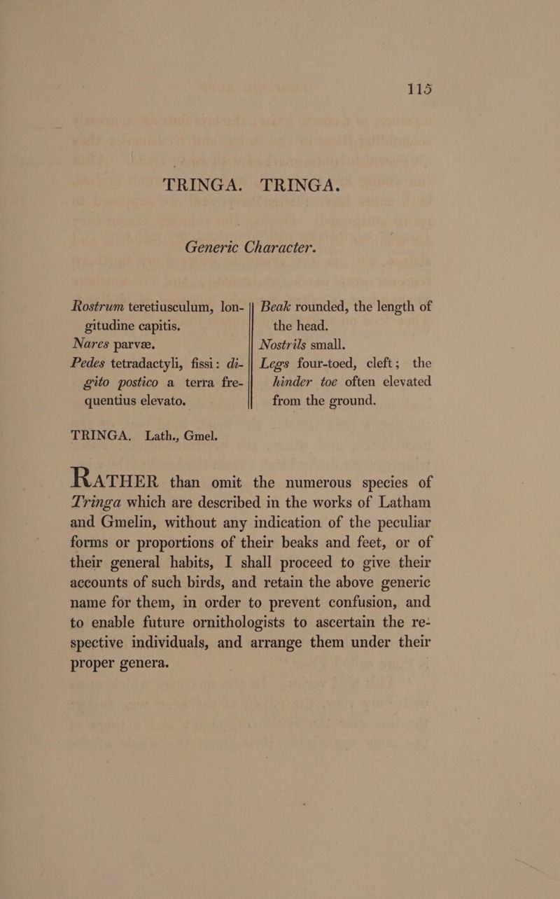 TRINGA. TRINGA. Generic Character. Rostrum teretiusculum, lon- || Beak rounded, the length of gitudine capitis. the head. Nares parvee. Nostrils small. Pedes tetradactyli, fissi: di- || Legs four-toed, cleft; the gito postico a terra fre- hinder toe often elevated quentius elevato. from the ground. TRINGA. Lath., Gmel. RATHER than omit the numerous species of Tringa which are described in the works of Latham and Gmelin, without any indication of the peculiar forms or proportions of their beaks and feet, or of their general habits, I shall proceed to give their accounts of such birds, and retain the above generic name for them, in order to prevent confusion, and to enable future ornithologists to ascertain the re- spective individuals, and arrange them under their proper genera.