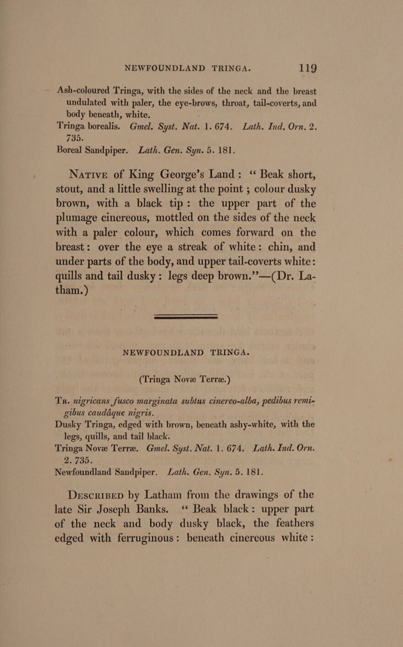 Ash-coloured Tringa, with the sides of the neck and the breast undulated with paler, the eye-brows, throat, tail-coverts, and body beneath, white. ! Tringa borealis. Gmel. Syst. Nat. 1.674. Lath. Ind. Orn, 2. 735. Boreal Sandpiper. Lath. Gen. Syn. 5. 181. Native of King George’s Land: ‘ Beak short, stout, and a little swelling at the point ; colour dusky brown, with a black tip: the upper part of the plumage cinereous, mottled on the sides of the neck with a paler colour, which comes forward on the breast: over the eye a streak of white: chin, and under parts of the body, and upper tail-coverts white : quills and tail dusky: legs deep brown.’’—(Dr. La- tham. ) : NEWFOUNDLAND TRINGA. (Tringa Nove Terre.) Tr. nigricans fusco marginata subtus cinereo-alba, pedibus remi~ gibus cauddque nigris. Dusky Tringa, edged with brown, beneath ashy-white, with the legs, quills, and tail black. Tringa Nove Terre. Gel. Syst. Nat. 1. 674. Lath. Ind. Orn. 2.7305. Newfoundland Sandpiper. Lath. Gen, Syn. 5. 181. DescriBeD by Latham from the drawings of the late Sir Joseph Banks. ‘‘ Beak black: upper part of the neck and body dusky black, the feathers edged with ferruginous: beneath cinereous white :