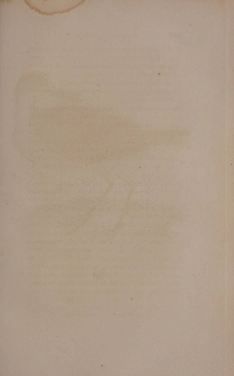 é . 4 ee : ity ote ae petites jad Ae O24 Sith? veoh de hs VAS a fe ermine aie ey ae eee Ce fT ates Bry Eee ses . : sabia ae ay Parad Riles WME ry ; Bee easton (on rae 7 e's bib “es SAE TES * am th : ' aA AY i? = i Lr ogean a Sig eee ‘ Y ae rue , hes ‘