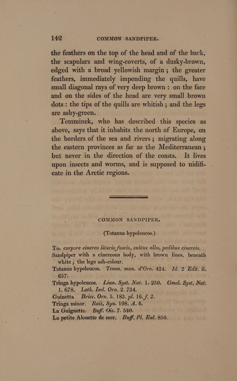 the feathers on the top of the head and of the back, the scapulars and wing-coverts, of a dusky-brown, edged with a broad yellowish margin; the greater feathers, immediately impending the quills, have small diagonal rays of very deep brown: on the face and on the sides of the head are very small brown dots : the tips of the quills are whitish ; and the legs are ashy-green. Temminck, who has described this species as above, says that it inhabits the north of Europe, on the borders of the sea and rivers; migrating along the eastern provinces as far as the Mediterranean ; but never in the direction of the coasts. It lives upon insects and worms, and is supposed to nidifi- cate in the Arctic regions. COMMON SANDPIPER. (Totanus hypoleucos.) To. corpore cinereo lituris fuscis, subtus albo, pedibus cinereis. _ Sandpiper with a cinereous body, with brown lines, beneath white ; the legs ash-colour. | Totanus hypoleucos. Temm. man. d’Orn. 424. Id. 2 Edit. ii. 657. ee Tringa hypoleucos. Lun. Syst. Nat. 1.250. Gmel. Syst. Nat. 1.678. Lath. Ind. Orn. 2. 734. Guinetta. Briss. Orn. 5. 183. pl. 16. f. 2. Tringa minor. azz, Syn. 108. A. 6. La Guignette. Buff. Ois. 7. 540. La petite Alouette de mer. Buff. Pl. Enl. 850.