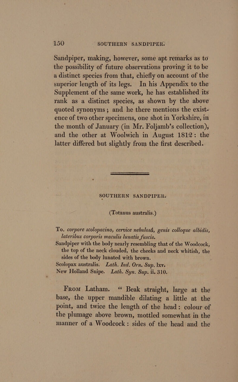 Sandpiper, making, however, some apt remarks as to the possibility of future observations proving it to be a distinct species from that, chiefly on account of the superior length of its legs. In his Appendix to the Supplement of the same work, he has established its rank as a distinct species, as shown by the above quoted synonyms; and he there mentions the exist- ence of two other specimens, one shot in Yorkshire, in the month of January (in Mr. Foljamb’s collection), and the other at Woolwich in August 1812: the latter differed but slightly from the first described. SOUTHERN SANDPIPER. (Totanus australis.) To. corpore scolopacino, cervice nebulosd, genis colloque albidis, lateribus corporis maculis lunatis fuscis. Sandpiper with the body nearly resembling that of the Woodcock, the top of the neck clouded, the cheeks and neck whitish, the sides of the body lunated with brown. Scolopax australis. Lath. Ind. Orn. Sup. Ixv. New Holland Snipe. Lath. Syn. Sup. ii. 310. From Latham. ‘ Beak straight, large at the base, the upper mandible dilating a little at the point, and twice the length of the head: colour of the plumage above brown, mottled somewhat in the manner of a Woodcock : sides of the head and the