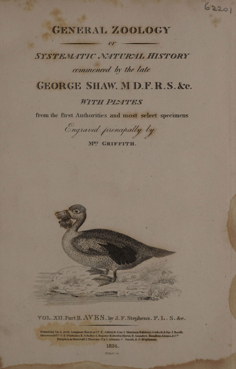 _ # ws t | GENERAL ZOOLOGY SYSTEMATIC NATURAL HISTORY Be ae, by the late RGE SHAW. M D.F_R.S. &amp;e. WITH PLATES from the first Authorities and most select specimens © paaF oO 7griaved, fram, y MRS GRIFFITH. Fenner. se.