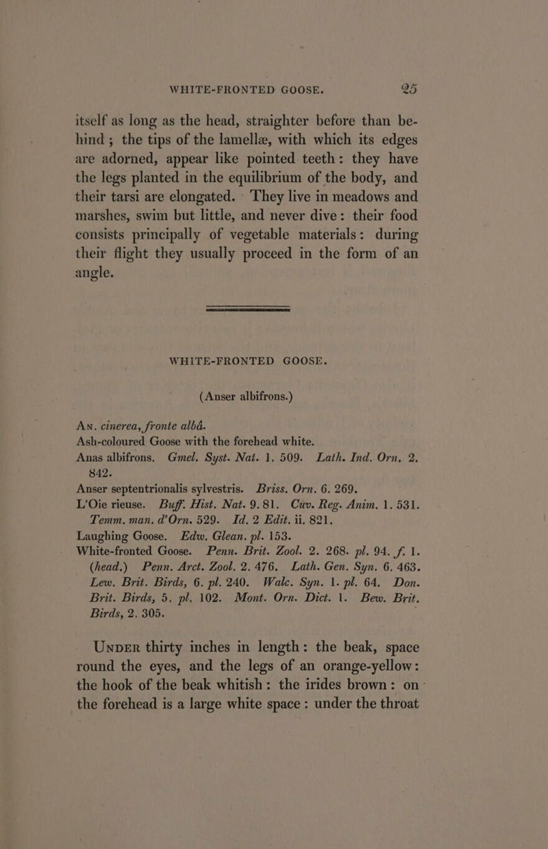 itself as long as the head, straighter before than be- hind ; the tips of the lamella, with which its edges are sdajtied: appear like pointed teeth: they have the legs planted in the equilibrium of the body, and their tarsi are elongated. They live in meadows and marshes, swim but little, and never dive: their food consists principally of vegetable materials: during their flight they usually proceed in the form of an angle. WHITE-FRONTED GOOSE. (Anser albifrons.) An. cinerea, fronte albd. Ash-coloured Goose with the forehead white. Anas albifrons. Gmel. Syst. Nat. 1. 509. Lath. Ind. Orn, 2 842. Anser septentrionalis sylvestris. Briss. Orn. 6. 269. L’Oie rieuse. Buff. Hist. Nat. 9.81. Cuv. Reg. Anim. 1. 531. Temm. man. d’Orn. 529. Id. 2 Edit. ii. 821, Laughing Goose. Edw. Glean. pl. 153. White-fronted Goose. Penn. Brit. Zool. 2. 268. pl. 94. f. 1. (head.) Penn. Arct. Zool. 2.476. Lath. Gen. Syn. 6. 463. Lew. Brit. Birds, 6. pl. 240. Walc. Syn. 1. pl. 64. Don. Brit. Birds, 5. pl. 102. Mont. Orn. Dict. 1. Bew. Brit. Birds, 2. 305. Unver thirty inches in length: the beak, space round the eyes, and the legs of an orange-yellow: the hook of the beak whitish: the irides brown: on’ the forehead is a large white space : under the throat