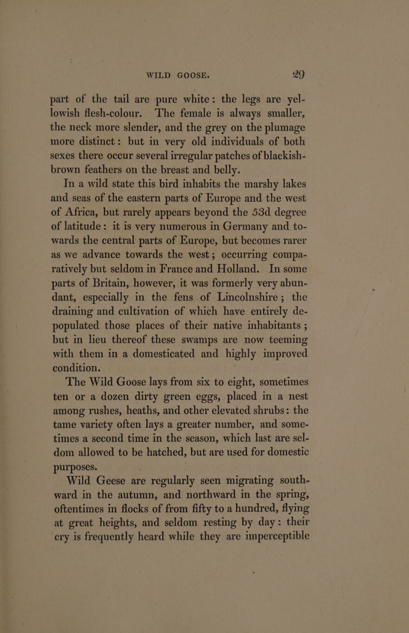 part of the tail are pure white: the legs are yel- lowish flesh-colour. ‘The female is always smaller, the neck more slender, and the grey on the plumage more distinct: but in very old individuals of both sexes there occur several irregular patches of blackish- brown feathers on the breast and belly. In a wild state this bird inhabits the marshy lakes and seas of the eastern parts of Europe and the west of Africa, but rarely appears beyond the 53d degree of latitude: it is very numerous in Germany and to- wards the central parts of Europe, but becomes rarer as we advance towards the west; occurring compa- ratively but seldom in France and Holland. In some parts of Britain, however, it was formerly very abun- dant, especially in the fens of Lincolnshire; the draining and cultivation of which have entirely de- populated those places of their native inhabitants ; but in lieu thereof these swamps are now teeming with them in a domesticated and highly improved condition. | The Wild Goose lays from six to eight, sometimes ten or a dozen dirty green eggs, placed in a nest among rushes, heaths, and other elevated shrubs: the tame variety often lays a greater number, and some- times a second time in the season, which last are sel- dom allowed to be hatched, but are used for domestic purposes. Wild Geese are regularly seen migrating south- ward in the autumn, and northward in the spring, oftentimes in flocks of from fifty to a hundred, flying at great heights, and seldom resting by day: their cry is frequently heard while they are imperceptible