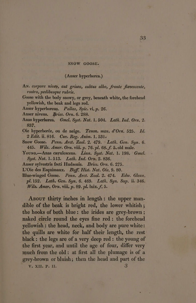 SNOW GOOSE. (Anser hyperborea.) AN. corpore nivey, aut griseo, subtus albo, fronte flavescente, rostro, pedibusque rubris. Goose with the body snowy, or grey, beneath white, the forehead yellowish, the beak and legs red. Anser hyperboreus. Pallas, Spic. vi. p. 26. Anser niveus. Briss. Orn. 6. 288. Anas hyperborea. Gmel. Syst. Nat. 1.504. Lath. Ind. Orn. 2. 837. Oie hyperborée, ou de neige. Temm. man. d’Orn, 525. Id. 2 Edit. ii. 816. Cuv. Reg. Anim. 1. 531. Snow Goose. Penn. Arct. Zool. 2. 479. — Lath. Gen. Syn. 6. 445. Wils. Amer. Orn. viii. p. 76. pl. 68.f. 5.0ld male. Youne,—Anas cerulescens. Linn. Syst. Nat. 1. 198. Gmel. Syst. Nat. 1.513. Lath. Ind. Orn, 2. 836. Anser sylvestris freti Hudsonis. Briss. Orn. 6. 275. L’Oie des Esquimaux. Buff: Hist. Nat. Ois, 9. 80. Blue-winged Goose. Penn. Arct. Zool. 2. 474. Edw. Glean. pl.152. Lath. Gen. Syn. 6. 469. Lath, Syn. Sup. ii. 346. Wils. Amer, Orn. viii. p. 89. pl. Ixix. f, 5. AxsoutT thirty inches in length: the upper man- dible of the beak is bright red, the lower whitish ; the hooks of both blue: the irides are grey-brown : naked circle round the eyes fine red: the forehead yellowish: the head, neck, and body are pure white: the quills are white for half their length, the rest black: the legs are of a very deep red: the young of the first year, and until the age of four, differ very much from the old: at first all the plumage is of a grey-brown or bluish; then the head and part of the V. XII. P. Il. 3