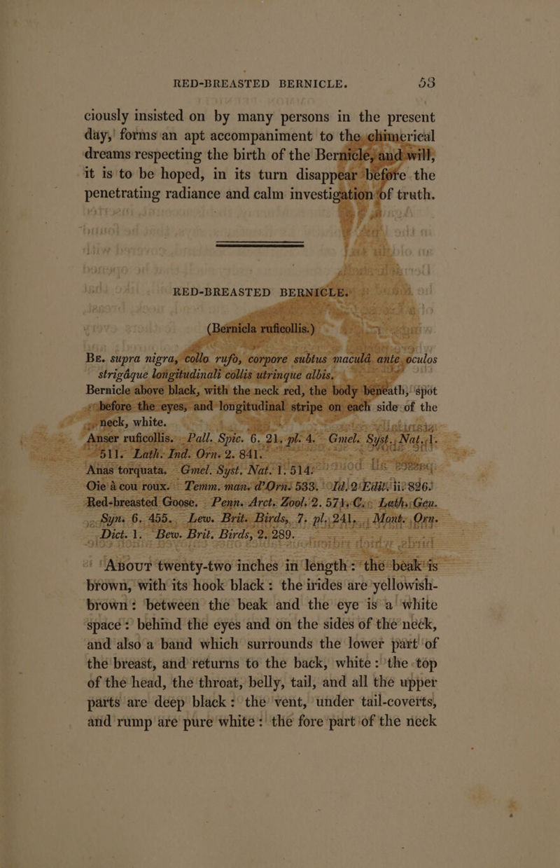 ciously insisted on by many persons in present day,' forms an apt accompaniment to th merical dreams respecting the birth of the Ber lead will, ‘it is'to be hoped, in its turn disappe ie t before -the ppababiein aaron and calm investig ation ‘of truth. May he et gath) spot i side ‘of the Se ee SST oe re om vi SA et ee A re ‘ RARE BER aH f ; ’ A oi Iau oneany 486 inches ti Muipthe leah beak*is — BRN ‘with its hook black: the irides are yellovvish brown: between the beak and the eye is a’ white ‘Space’: behind the eyes and on the sides of the’neck, ‘and also a band which surrounds the lower part ‘of the breast, and’ returns to the back, white : the top of the head, the throat, belly, tail, and all the upper parts are deep black : the vent, ‘under tail-coverts, and rump are pure white: the fore part of the neck