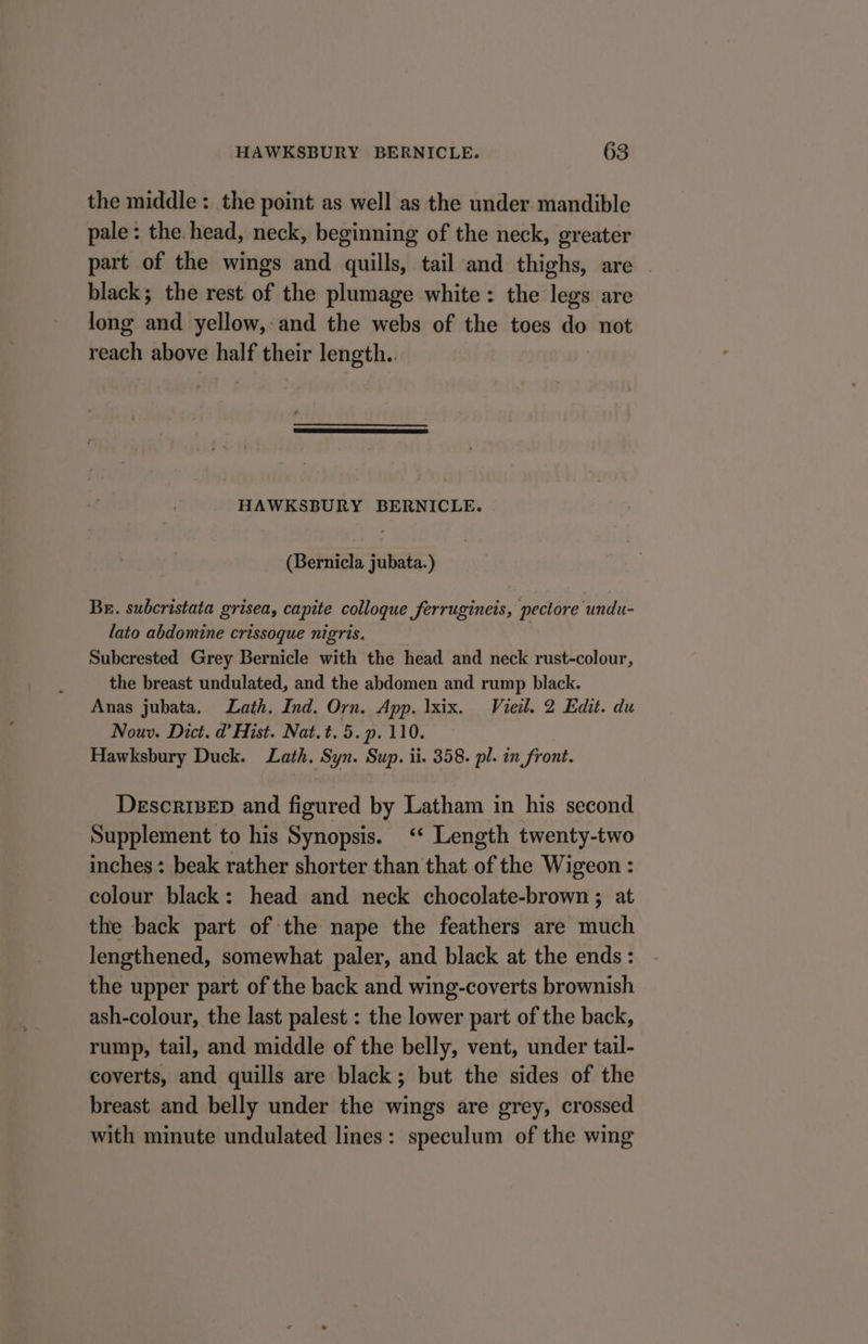 the middle: the point as well as the under mandible pale: the head, neck, beginning of the neck, greater part of the wings and quills, tail and thighs, are . black; the rest of the plumage white: the legs are long and yellow,-and the webs of the toes do not reach above half their length.. HAWKSBURY BERNICLE. (Bernicla jubata. ) Br. subcristata grisea, capite colloque ferrugineis, pectore undu- lato abdomine crissoque nigris. Subcrested Grey Bernicle with the head and neck rust-colour, the breast undulated, and the abdomen and rump black. Anas jubata. Lath. Ind. Orn. App. Ixix. Vieil. 2 Edit. du Nouv. Dict. d’ Hist. Nat.t. 5. p. 110. Hawksbury Duck. Lath. Syn. Sup. ii. 358. pl. in front. DescrisEpD and figured by Latham in his second Supplement to his Synopsis. ‘* Length twenty-two inches: beak rather shorter than that of the Wigeon : colour black: head and neck chocolate-brown ; at the back part of the nape the feathers are much lengthened, somewhat paler, and black at the ends: the upper part of the back and wing-coverts brownish ash-colour, the last palest : the lower part of the back, rump, tail, and middle of the belly, vent, under tail- coverts, and quills are black; but the sides of the breast and belly under the wings are grey, crossed with minute undulated lines: speculum of the wing