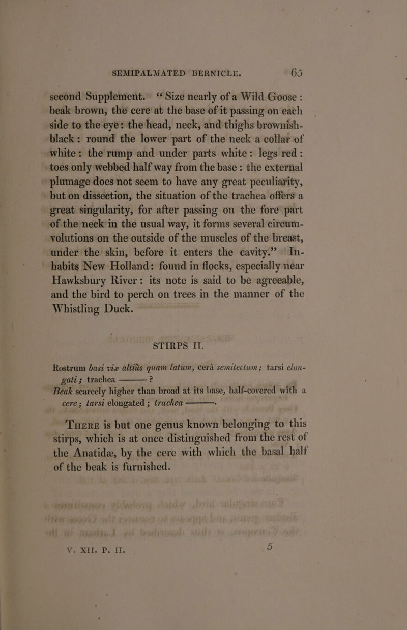 second Supplement.” ‘Size nearly of a Wild Goose : beak brown, the cere‘ at the base of it passing on each side to the eye: the head, neck, and thighs brownish- black: round the lower part of the neck a collar of white: the rump and under parts white: legs red : toes only webbed half way from the base : the external plumage does not seem to have any great peculiarity, but on dissection, the situation of the trachea offers a great singularity, for after passing on the fore part of the neck in the usual way, it forms several circum- volutions on the outside of the muscles of the breast, under the skin, before it enters the cavity.” In- habits New Holland: found in flocks, especially near Hawksbury River: its note is said to be agreeable, and the bird to perch on trees in the manner of the Whistling Duck. STIRPS IT. Rostrum basi via altiis quam latum, cera semitectum; tarsi elon- gati; trachea ? Beak scarcely higher than broad at its base, half-covered with a cere; tarsi elongated ; trachea | Tuere is but one genus known belonging to this stirps, which is at once distinguished from the rest of the Anatidw, by the cere with which the basal. half of the beak is furnished. V. XII. P. I. 9)