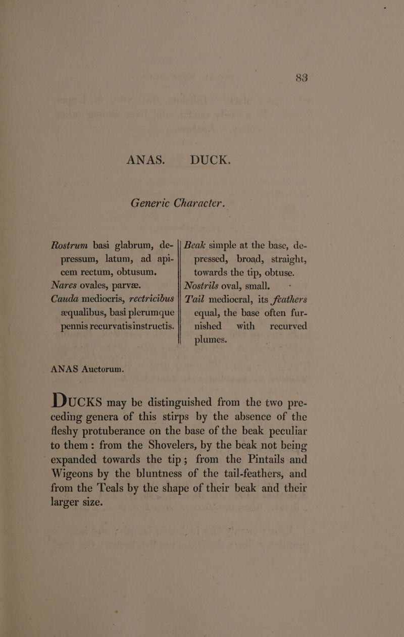 ANAS. DUCK. Generic Character. Rostrum basi glabrum, de- || Beak simple at the base, de- pressum, latum, ad api- pressed, broad, straight, cem rectum, obtusum. towards the tip, obtuse. Nares ovales, parvee. Nostrils oval, small. Cauda mediocris, rectricibus || Tail mediocral, its feathers eequalibus, basi plerumque || equal, the base often fur- pennis recurvatisinstructis. |} nished with recurved plumes. ANAS Auctorum. Ducks may be distinguished from the two pre- ceding genera of this stirps by the absence of the fleshy protuberance on the base of the beak peculiar to them: from the Shovelers, by the beak not being expanded towards the tip; from the Pintails and Wigeons by the bluntness of the tail-feathers, and from the Teals by the shape of their beak and their larger size.