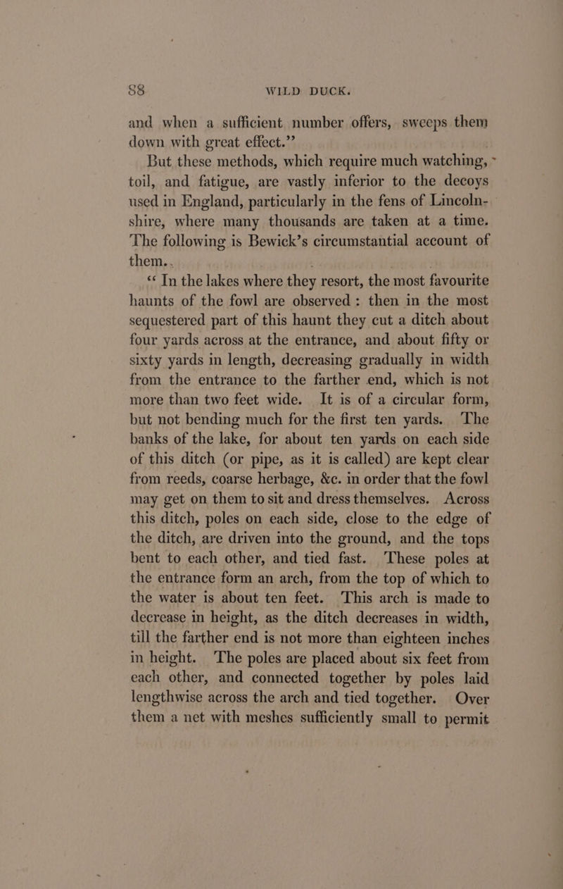 and when a sufficient number offers, sweeps them down with great effect.” But these methods, which require much watching, - toil, and fatigue, are vastly inferior to the decoys used in England, particularly in the fens of Lincoln- — shire, where many thousands are taken at a time. The following is Bewick’s circumstantial account of them.. « Tn the lakes where they resort, the most favourite haunts of the fowl are observed : then in the most sequestered part of this haunt they cut a ditch about four yards across at the entrance, and about fifty or sixty yards in length, decreasing gradually in width from the entrance to the farther end, which is not more than two feet wide. It is of a circular form, but not bending much for the first ten yards. ‘The banks of the lake, for about ten yards on each side of this ditch (or pipe, as it is called) are kept clear from reeds, coarse herbage, &amp;c. in order that the fowl may get on them to sit and dress themselves. Across this ditch, poles on each side, close to the edge of the ditch, are driven into the ground, and the tops bent to each other, and tied fast. ‘These poles at the entrance form an arch, from the top of which to the water is about ten feet. This arch is made to decrease in height, as the ditch decreases in width, till the farther end is not more than eighteen inches in height. The poles are placed about six feet from each other, and connected together by poles laid lengthwise across the arch and tied together. Over them a net with meshes sufficiently small to permit