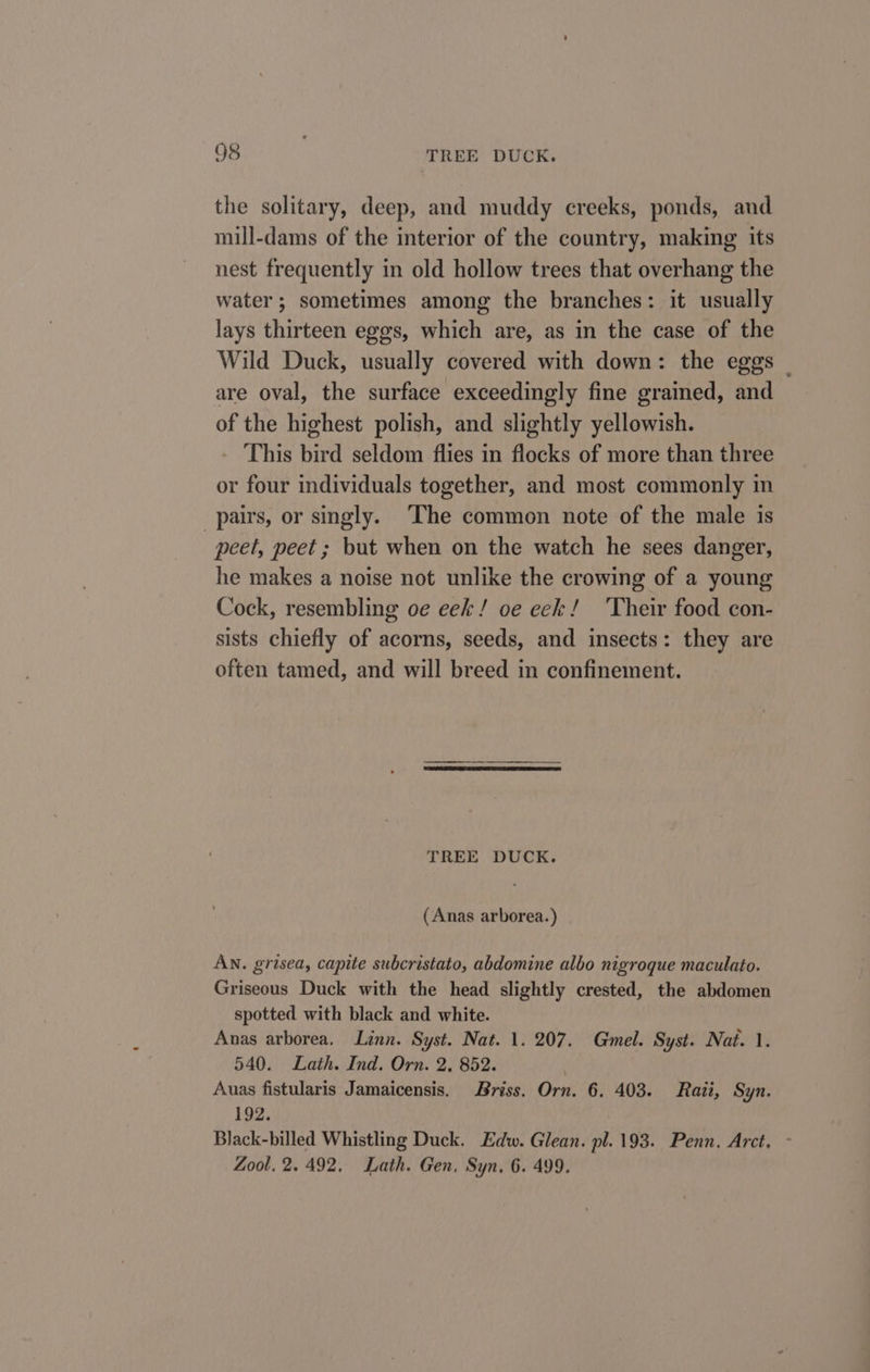 the solitary, deep, and muddy creeks, ponds, and mill-dams of the interior of the country, making its nest frequently in old hollow trees that overhang the water; sometimes among the branches: it usually lays thirteen eggs, which are, as in the case of the Wild Duck, usually covered with down: the eggs are oval, the surface exceedingly fine grained, and of the highest polish, and slightly yellowish. This bird seldom flies in flocks of more than three or four individuals together, and most commonly in pairs, or singly. The common note of the male is peet, peet ; but when on the watch he sees danger, he makes a noise not unlike the crowing of a young Cock, resembling oe eek / oe eek! ‘Their food con- sists chiefly of acorns, seeds, and insects: they are often tamed, and will breed in confinement. TREE DUCK. (Anas arborea.) AN. grisea, capite subcristato, abdomine albo nigroque maculato. Griseous Duck with the head slightly crested, the abdomen spotted with black and white. Anas arborea. Linn. Syst. Nat. 1. 207. Gmel. Syst. Nat. 1. 540. Lath. Ind. Orn. 2, 852. Auas fistularis Jamaicensis. Briss. Orn. 6. 403. Raii, Syn. 192. Black-billed Whistling Duck. Edw. Glean. pl. 193. Penn. Arct, - Zool, 2.492. Lath. Gen. Syn. 6. 499.