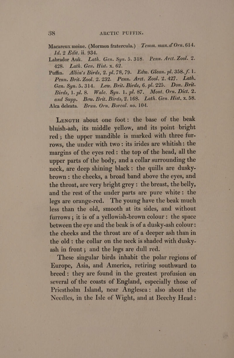 ? Macareux moine, (Mormon fratercula.) Z'emm. man.d’ Orn. 614. Id. 2 Edit. ii. 934. Labrador Auk. Lath. Gen. Syn. 5.318. Penn. Arct. Zool. 2. 428. Lath. Gen. Hist. x. 62. Pufin. Albin’s Birds, 2. pl.78,79. Edw. Glean. pl. 358.f. 1. Penn. Brit. Zool. 2. 232. Penn. Arct. Zool. 2.427. Lath. Gen. Syn. 5.314. Lew. Brit. Birds, 6. pl. 225. Don. Brit. Birds, 1. pl. 8. Wale. Syn. 1. pl. 87. Mont. Orn. Dict. 2. and Supp. Bew. Brit. Birds, 2.168. Lath. Gen. Hist, x. 58. Alca deleata. Brun. Orn. Boreal. no. 104. LenctH about one foot: the base of the beak bluish-ash, its middle yellow, and its point bright red ; the upper mandible is marked with three fur- rows, the under with two: its irides are whitish: the margins of the eyes red: the top of the head, all the upper parts of the body, and a collar surrounding the neck, are deep shining black: the quills are dusky- brown : the cheeks, a broad band above the eyes, and the throat, are very bright grey: the breast, the belly, and the rest of the under parts are pure white: the legs are orange-red. The young have the beak much less than the old, smooth at its sides, and without furrows ; it is of a yellowish-brown colour: the space between the eye and the beak is of a dusky-ash colour: the cheeks and the throat are of a deeper ash than in the old: the collar on the neck is shaded with dusky- ash in front; and the legs are dull red. These singular birds inhabit the polar regions of Europe, Asia, and America, retiring southward to breed: they are found in the greatest profusion on several of the coasts of England, especially those of Priestholm Island, near Anglesea: also about the Needles, in the Isle of Wight, and at Beechy Head :