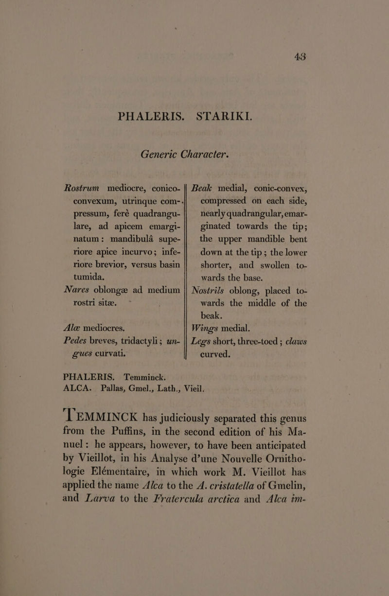 PHALERIS. STARIKI. Generic Character. Rostrum mediocre, conico- || Beak medial, conic-convex, pressum, feré quadrangu- lare, ad apicem emargi- natum: mandibula supe- riore apice incurvo; infe- riore brevior, versus basin tumida. compressed on each side, nearly quadrangular, emar- ginated towards the tip; the upper mandible bent down at the tip; the lower shorter, and swollen to- wards the base. Nares oblongze ad medium || Nostrils oblong, placed to- wards the middle of the beak. Wings medial. rostri sitee. Alc mediocres. Pedes breves, tridactyli; un- gues curvati. Legs short, three-toed ; claws curved. PHALERIS. Temminck. ALCA. Pallas, Gmel., Lath., Vieil. ‘TEMMINCK has judiciously separated this genus from the Puffins, in the second edition of his Ma- nuel: he appears, however, to have been anticipated by Vieillot, in his Analyse d’une Nouvelle Ornitho- logie Elémentaire, in which work M. Vieillot has applied the name Alca to the A. cristatella of Gmelin, and Larva to the Fratercula arctica and Alca im-