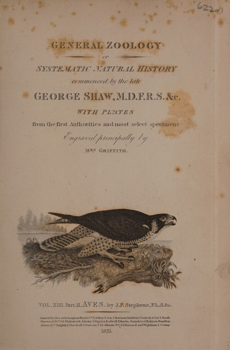 COMMEHCEH OY he litle * GEORGE S81 WITH PLATES from the first Authorities and most select spe . ? G ngiaved fe unpally é- Z M®S GRIFFITH. Printed tor 1&amp;-A. Arch: Longinan Hurst &amp; C°E. Jeffery Son: TMawman: Baldwin, Cradock &amp; Joy: L.Booth: Sherwood &amp;C°G.B-Whittaker: R.Scholey: S.Bagster.Rodwell Martm: Saunders &amp; Hodgson Hamilton, Adams &amp;- C°Simpkin &amp; Marshall: (Duncan: T &amp;LAlbnan: W.1 &amp;TMaynard and Wightman &amp; Cramp. M825, avg