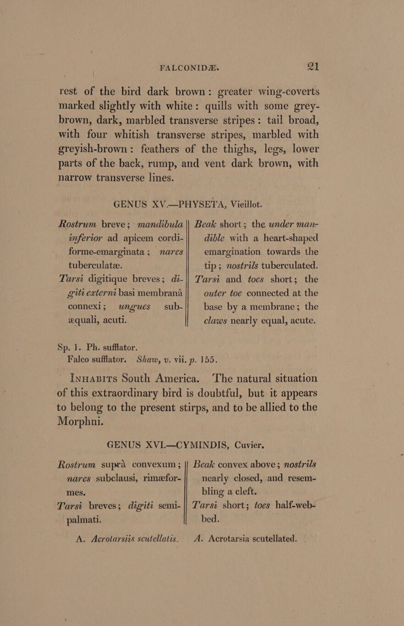 rest of the bird dark brown: greater wing-coverts marked slightly with white: quills with some grey- brown, dark, marbled transverse stripes: tail broad, with four whitish transverse stripes, marbled with greyish-brown: feathers of the thighs, legs, lower parts of the back, rump, and vent dark brown, with narrow transverse lines. GENUS XV.—PHYSETA, Vieillot. Rostrum breve;° mandibula || Beak short; the wnder man- infertor ad apicem cordi- dible with a heart-shaped forme-emarginata ; nares emargination towards the tuberculateze. tip; nostrils tuberculated. Tarsi digitique breves; di-|| Tarst and toes short; the gti externt basi membrana outer toe connected at the connexl; wungués sub- base by a membrane; the eequali, acuti. claws nearly equal, acute. Sp. 1. Ph. sufflator. Falco sufflator. Shaw, v. vii. p. 155. Inuasits South America. The natural situation of this extraordinary bird is doubtful, but it appears to belong to the present stirps, and to be allied to the Morphni. GENUS XVI—CYMINDIS, Cuvier, Rostrum supra convexum ; || Beak convex above ; nostrils nares subclausi, rimeefor- nearly closed, and resem~ mes. bling a cleft. Tarsi breves; digiti semi- || Tarst short; toes half-web- palmati. bed. A. Acrotarsiis scutellatis. A. Acrotarsia scutellated.