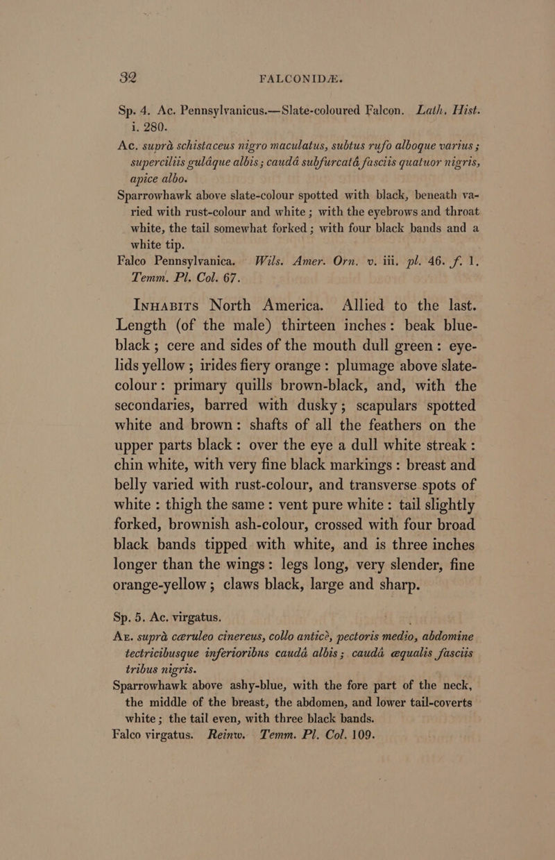 Sp. 4. Ac. Pennsylvanicus.—Slate-coloured Falcon. Lath, Hist. i, 280. Ac. supra schistaceus nigro maculatus, subtus rufo alboque varius ; superciliis guldque albis ; caudd subfurcatd fasciis quatuor nigris, apice albo. Sparrowhawk above slate-colour spotted with black, beneath va- ried with rust-colour and white ; with the eyebrows and throat white, the tail somewhat forked ; with four black bands and a white tip. Falco Pennsylvanica. Wils. Amer. Orn. v. iii, pl. 46. f. 1, Temm. Pl. Col. 67. Inuapits North America. Allied to the last. Length (of the male) thirteen inches: beak blue- black ; cere and sides of the mouth dull green: eye- lids yellow ; irides fiery orange : plumage above slate- colour: primary quills brown-black, and, with the secondaries, barred with dusky; scapulars spotted white and brown: shafts of all the feathers on the upper parts black: over the eye a dull white streak : chin white, with very fine black markings : breast and belly varied with rust-colour, and transverse spots of white : thigh the same : vent pure white : tail slightly forked, brownish ash-colour, crossed with four broad black bands tipped with white, and is three inches longer than the wings: legs long, very slender, fine orange-yellow ; claws black, large and sharp. Sp. 5. Ac. virgatus. Ax. supra ceruleo cinereus, collo anticé, pectoris medio, abdomine tectricibusque inferioribus cauda albis; cauda equalis fascits tribus nigris. Sparrowhawk above ashy-blue, with the fore part of the neck, the middle of the breast, the abdomen, and lower tail-coverts white ; the tail even, with three black bands. Falco virgatus. Reinw. Temm. Pl. Col. 109.