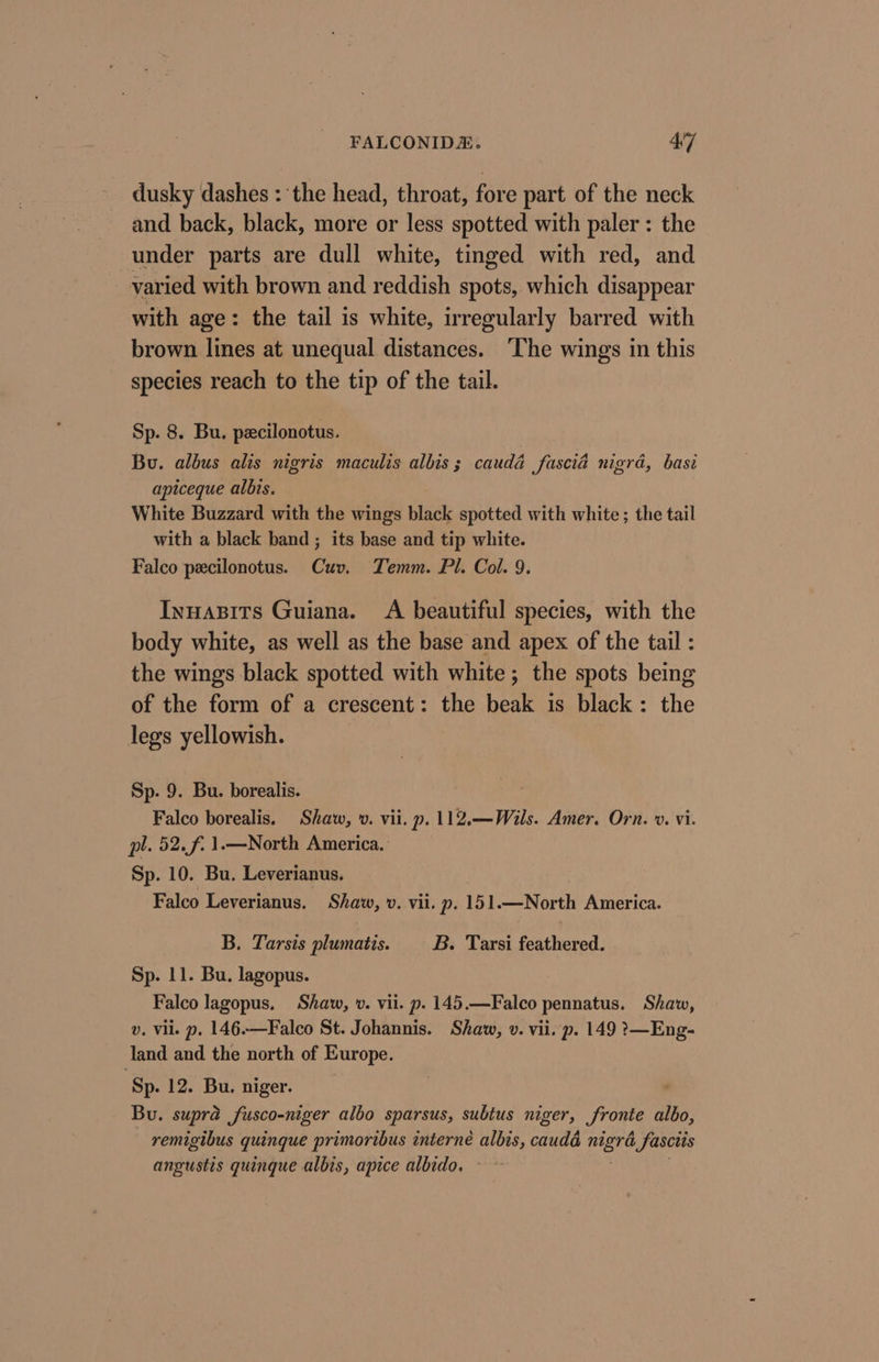 dusky dashes : the head, throat, fore part of the neck and back, black, more or less spotted with paler: the under parts are dull white, tinged with red, and varied with brown and reddish spots, which disappear with age: the tail is white, irregularly barred with brown lines at unequal distances. ‘The wings in this species reach to the tip of the tail. Sp. 8. Bu. pecilonotus. Bu. albus alis nigris maculis albis; caudéa fascia nigrd, basi apiceque albis. White Buzzard with the wings black spotted with white ; the tail with a black band ; its base and tip white. Falco pecilonotus. Cuv. Temm. Pl. Col. 9. Inuasits Guiana. A beautiful species, with the body white, as well as the base and apex of the tail : the wings black spotted with white ; the spots being of the form of a crescent: the beak is black: the legs yellowish. Sp. 9. Bu. borealis. Falco borealis. Shaw, v. vii. p. 112.—Wils. Amer. Orn. ». vi. pl. 52. f. 1.—North America. Sp. 10. Bu. Leverianus. Falco Leverianus. Shaw, v. vii. p. 151.—North America. B. Tarsis plumatis. B. Tarsi feathered. Sp. 11. Bu. lagopus. Falco lagopus. Shaw, ». vii. p. 145.—Falco pennatus. Shaw, v. vil. p. 146.—Falco St. Johannis. Shaw, v. vii. p. 149 ?—Eng- land and the north of Europe. Sp. 12. Bu. niger. ‘ Bu. supra fusco-niger albo sparsus, subtus niger, Sronte albo, remigibus quinque primoribus interné albis, caudd nigre i fasctis angustis quinque albis, apice albido.