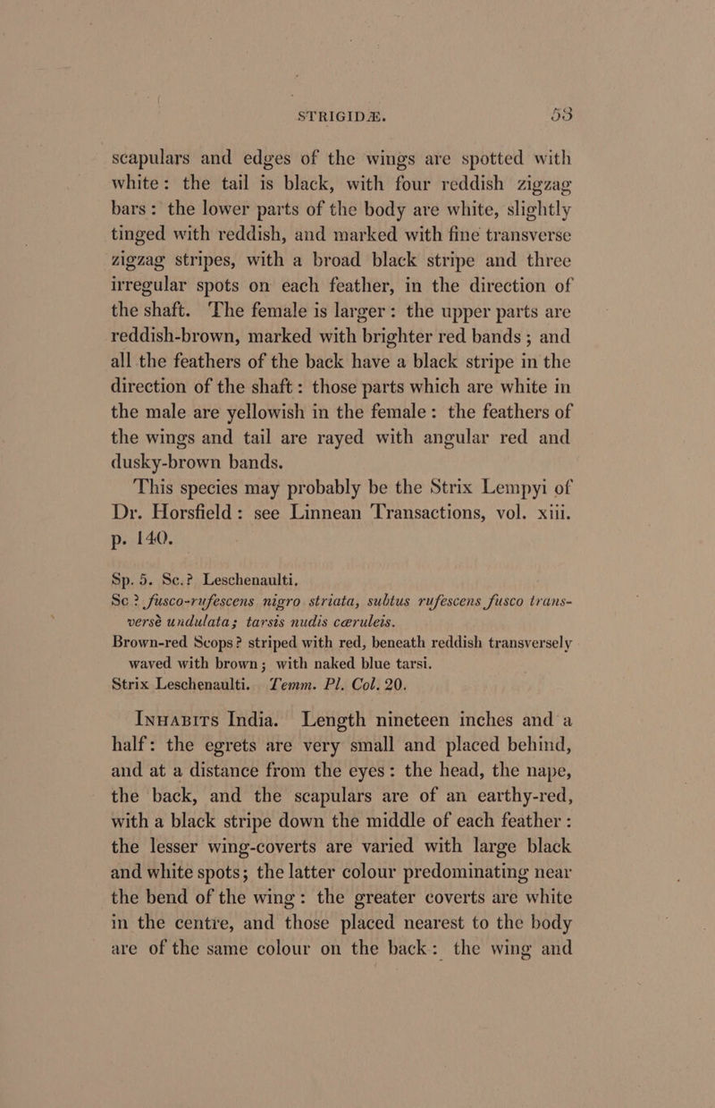scapulars and edges of the wings are spotted with white: the tail is black, with four reddish zigzag bars: the lower parts of the body are white, slightly tinged with reddish, and marked with fine transverse ‘zigzag stripes, with a broad black stripe and three irregular spots on each feather, in the direction of the shaft. ‘The female is larger: the upper parts are reddish-brown, marked with brighter red bands ; and all the feathers of the back have a black stripe in the direction of the shaft: those parts which are white in the male are yellowish in the female: the feathers of the wings and tail are rayed with angular red and dusky-brown bands. This species may probably be the Strix Lempyi of Dr. Horsfield: see Linnean ‘Transactions, vol. xiii. p-. 140. Sp. 5. Sc.? Leschenaulti. Se? fusco-rufescens nigro striata, subtus rufescens fusco trans- versé undulata; tarsis nudis ceruleis. Brown-red Scops? striped with red, beneath reddish transversely waved with brown; with naked blue tarsi. Strix Leschenaulti. Temm. Pl. Col. 20. Inuasits India. Length nineteen inches and a half: the egrets are very small and placed behind, and at a distance from the eyes: the head, the nape, the back, and the scapulars are of an earthy-red, with a black stripe down the middle of each feather : the lesser wing-coverts are varied with large black and white spots; the latter colour predominating near the bend of the wing: the greater coverts are white in the centre, and those placed nearest to the body are of the same colour on the back: the wing and