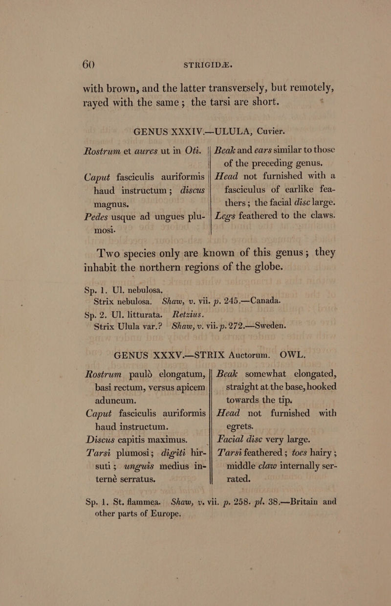 with brown, and the latter transversely, but remotely, rayed with the same; the tarsi are short. : GENUS XXXIV.—ULULA, Cuvier. Rostrum et aures ut in Oti. || Beak and ears similar to those | of the preceding genus. Caput fasciculis auriformis || Head not furnished with a haud instructum; discus fasciculus of earlike fea- magnus. | thers; the facial disc large. Pedes usque ad ungues plu- | Legs feathered to the claws. mosi. Two species only are known of this genus; they inhabit the northern regions of the globe. Sp. 1. Ul. nebulosa. Strix nebulosa. Shaw, v. vii. p. 245,—Canada. Sp. 2. Ul. litturata. Retzius. Strix Ulula var.? Shaw, v. vii. p. 272.—Sweden. GENUS XXXV.—STRIX Auctorum. OWL. Rostrum pauld elongatum, || Beak somewhat elongated, basi rectum, versus apicem straight at the base, hooked aduncum. towards the tip. Caput fasciculis auriformis |} Head not furnished with haud instructum. egrets. Discus capitis maximus. —_|| Facial disc very large. Tarsi plumosi; digiti hir- || T’arst feathered ; toes hairy ; suti; wnguts medius in- middle claw internally ser- terné serratus. rated. Sp. 1. St. flammea. Shaw, v. vii. p. 258. pl. 38.—Britain and other parts of Europe.