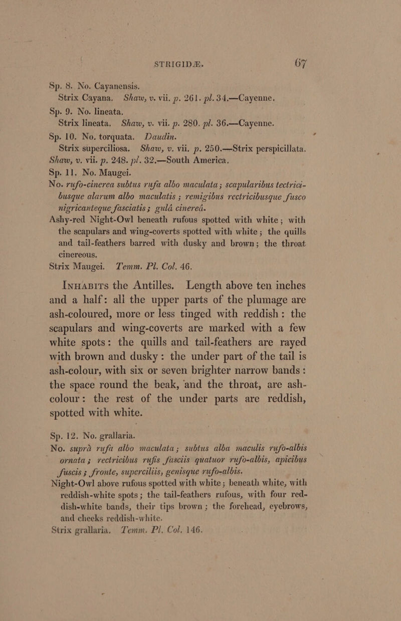 Sp. 8. No. Cayanensis. Strix Cayana. Shaw, v. vii. p. 261. pl. 34.—Cayenne. Sp. 9. No. lineata, Strix lineata. Shaw, v. vil. p. 280. pl. 36.—Cayenne. Sp. 10. No. torquata. Daudin. Strix superciliosa. Shaw, v. vii. p. 250.—Strix perspicillata. Shaw, v. vii. p. 248. pf. 32,—South America. Sp. 11. No. Maugei. No. rufo-cinerea subtus rufa albo maculata; scapularibus tectrici- busque alarum albo maculatis ; remigibus rectricibusque fusco nigricanteque fasciates ; guld cinered. Ashy-red Night-Owl beneath rufous spotted with white; with the scapulars and wing-coverts spotted with white; the quills and tail-feathers barred with dusky and brown; the throat cinereous. Strix Maugei. TZemm. Pl. Col. 46. Inuapsits the Antilles. Length above ten inches and a half: ali the upper parts of the plumage are ash-coloured, more or less tinged with reddish: the scapulars and wing-coverts are marked with a few white spots: the quills and tail-feathers are rayed with brown and dusky: the under part of the tail is ash-colour, with six or seven brighter narrow bands : the space round the beak, and the throat, are ash- colour: the rest of the under parts are reddish, spotted with white. Sp. 12. No. grallaria. No. supra rufa albo maculata; subtus alba maculis rufo-albis - ornata; rectricibus rufis fasciis quatuor rufo-albis, apicibus fuscis 3 fronte, superciliis, genisque rufo-albis. Night-Owl above rufous spotted with white ; beneath white, with reddish-white spots; the tail-feathers rufous, with four red- dish-white bands, their tips brown ; the forehead, eyebrows, and cheeks reddish-white. Strix grallaria, Zemm. Pl. Col. 146.