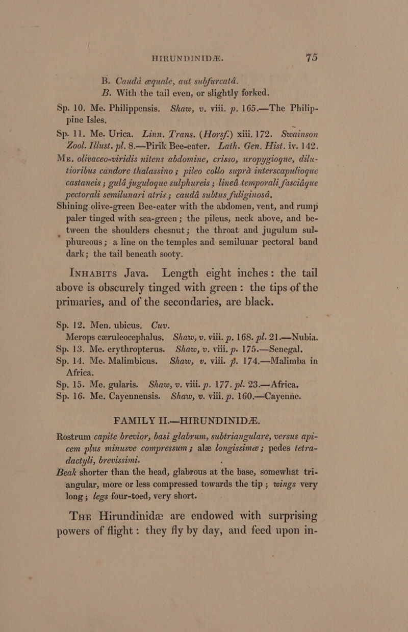 B. Cauda equale, aut subfurcata. — B. With the tail even, or slightly forked. Sp- 10. Me. Philippensis. Shaw, v. viii. p. 165.—The Philip- pine Isles, Sp. 11. Me. Urica. Linn. Trans. ( Horsf.) xiii. 172. Swainson Zool. Illust. pl. 8.—Pirik Bee-eater. Lath. Gen. Hist. iv. 142. Mu. olivaceo-viridis nitens abdomine, crisso, uropygiogue, dilu- tioribus candore thalassino ; pileo collo supra interscapulioque castaneis ; gula juguloque sulphureis ; lined temporalt fascidque pectoralt semilunart atris ; caudd subtus fuliginosd, Shining olive-green Bee-eater with the abdomen, vent, and rump paler tinged with sea-green ; the pileus, neck above, and be- tween the shoulders chesnut; the throat and jugulum sul- phureous ; a line on the temples and semilunar pectoral band dark; the tail beneath sooty. Inuasirs Java. Length eight inches: the tail above is obscurely tinged with green: the tips of the primaries, and of the secondaries, are black. Sp. 12. Men. ubicus. Cuv. Merops ceruleocephalus. Shaw, v. viii. p. 168. pl. 21.—Nubia. Sp. 13. Me. erythropterus. Shaw, v. vill. p. 175.—Senegal. Sp. 14. Me. Malimbicus. Shaw, v. viii. f. 174.—Malimba in Africa. Sp. 15. Me. gularis. Shaw, v. vill. p. 177. pl. 23.—Africa. Sp. 16. Me. Cayennensis. Shaw, v. viii. p. 160.—Cayenne. FAMILY IIl.—HIRUNDINID. Rostrum capite brevior, basi glabrum, subtriangulare, versus api- cem plus minusve compressum ; ale longissime ; pedes tetra- dactyli, brevissimt. Beak shorter than the head, glabrous at the base, somewhat tri- angular, more or less compressed towards the tip ; wangs very long ; /egs four-toed, very short. © Tue Hirundinide are endowed with surprising powers of flight : they fly by day, and feed upon in-