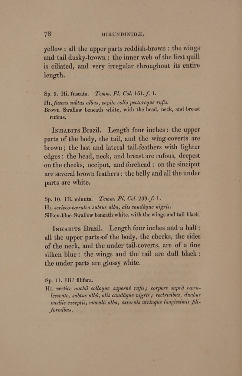 yellow : all the upper parts reddish-brown : the wings and tail dusky-brown : the inner web of the first quill is ciliated, and very irregular throughout its entire length. Sp. 9. Hi. fuscata. Temm. Pl, Col. 161.f. 1. Hi. fuscus subtus albus, capite collo pectoreque rufis. Brown Swallow beneath white, with the head, neck, and breast rufous, Inuanits Brazil. Length four inches: the upper parts of the body, the tail, and the wing-coverts are brown; the last and lateral tail-feathers with lighter edges: the head, neck, and breast are rufous, deepest onthe cheeks, occiput, and forehead : on the sinciput are several brown feathers : the belly and all the under parts are white. Sp. 10. Hi. minuta. Temm. Pl, Col. 209.f. 1. Hi, sericeo-cerulea subtus alba, alis caudéque nigris. Silken-blue Swallow beneath white, with the wings and tail black. Inuazits Brazil. Length four inches and a half : all the upper parts-of the body, the cheeks, the sides of the neck, and the under tail-coverts, are of a fine silken blue: the wings and the tail are dull black : the under parts are glossy white. Sp. 11. Hi? filifera. Hr. vertice nuchaé collogue superné rufis; corpore supra ceru- lescente, subtus alba, alis cauddque nigris 3 rectricibus, duabus mediis exceptis, macula alba, eaternis ulrinque longissimis filt- Sormibus,