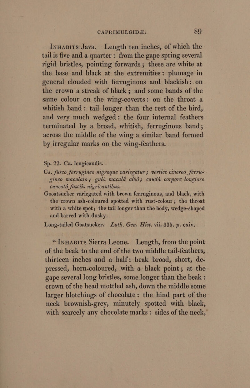 Innasits Java. Length ten inches, of which the tail is five and a quarter: from the gape spring several rigid bristles, pointing forwards; these are white at the base and black at the extremities: plumage in general clouded with ferruginous and blackish: on the crown a streak of black ; and some bands of the same colour on the wing-coverts: on the throat a whitish band: tail longer than the rest of the bird, and very much wedged: the four internal feathers terminated by a broad, whitish, ferruginous band; across the middle of the wing a similar band formed by irregular marks on the wing-feathers. Sp. 22. Ca. longicaudis. Ca. fusco ferrugineo nigroque variegatus ; vertice cinereo ferru- gineo maculato; gula macula alba; caudd corpore longiore cuneata fasciis nigricantibus. Gooatsucker variegated with brown ferruginous, and black, with the crown ash-coloured spotted with rust-colour ; the throat with a white spot; the tail longer than the body, wedge-shaped and barred with dusky. Long-tailed Goatsucker. Lath. Gen. Hist. vii. 335. p. cxiv. “InHABITs Sierra Leone. Length, from the point of the beak to the end of the two middle tail-feathers, thirteen inches and a half: beak broad, short, de- pressed, horn-coloured, with a black point; at the gape several long bristles, some longer than the beak : crown of the head mottled ash, down the middle some larger blotchings of chocolate: the hind part of the neck brownish-grey, minutely spotted with black, with scarcely any chocolate marks: sides of the neck,’