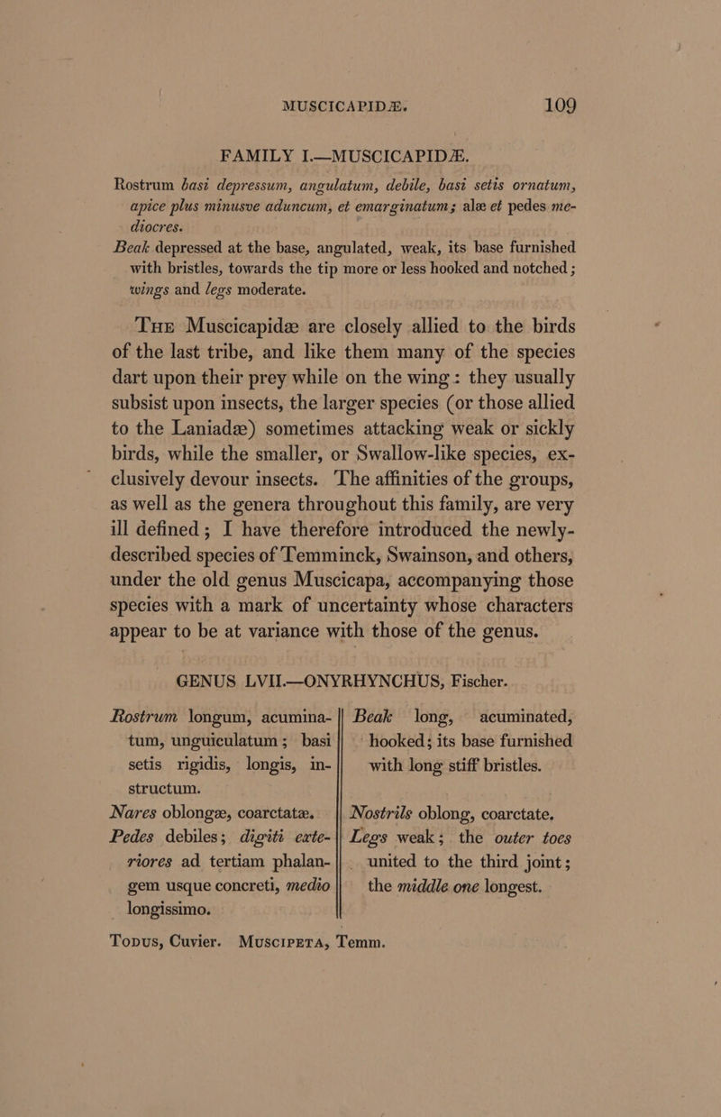 FAMILY I.—MUSCICAPID. Rostrum basz depressum, angulatum, debile, basi setis ornatum, apice plus minusve aduncum, et emarginatum; ale et pedes me- diocres. | | | Beak depressed at the base, angulated, weak, its base furnished with bristles, towards the tip more or less hooked and notched ; wings and legs moderate. Tur Muscicapidee are closely allied to the birds of the last tribe, and like them many of the species dart upon their prey while on the wing: they usually subsist upon insects, the larger species (or those allied to the Laniadz) sometimes attacking weak or sickly birds, while the smaller, or Swallow-like species, ex- clusively devour insects. The affinities of the groups, as well as the genera throughout this family, are very ill defined ; I have therefore introduced the newly- described species of Temminck, Swainson, and others, under the old genus Muscicapa, accompanying those species with a mark of uncertainty whose characters appear to be at variance with those of the genus. GENUS LVI.—ONYRHYNCHUS, Fischer. Rostrum longum, acumina- || Beak long, acuminated, tum, unguiculatum ;_ basi hooked; its base furnished setis rigidis, longis, in- with long stiff bristles. structum. Nares oblonge, coarctate. Nostrils oblong, coarctate. Pedes debiles; digiti exte-|\| Legs weak; the outer toes riores ad tertiam phalan- || united to the third joint; gem usque concreti, medio the middle one longest. longissimo. Topus, Cuvier. Muscipeta, Temm.