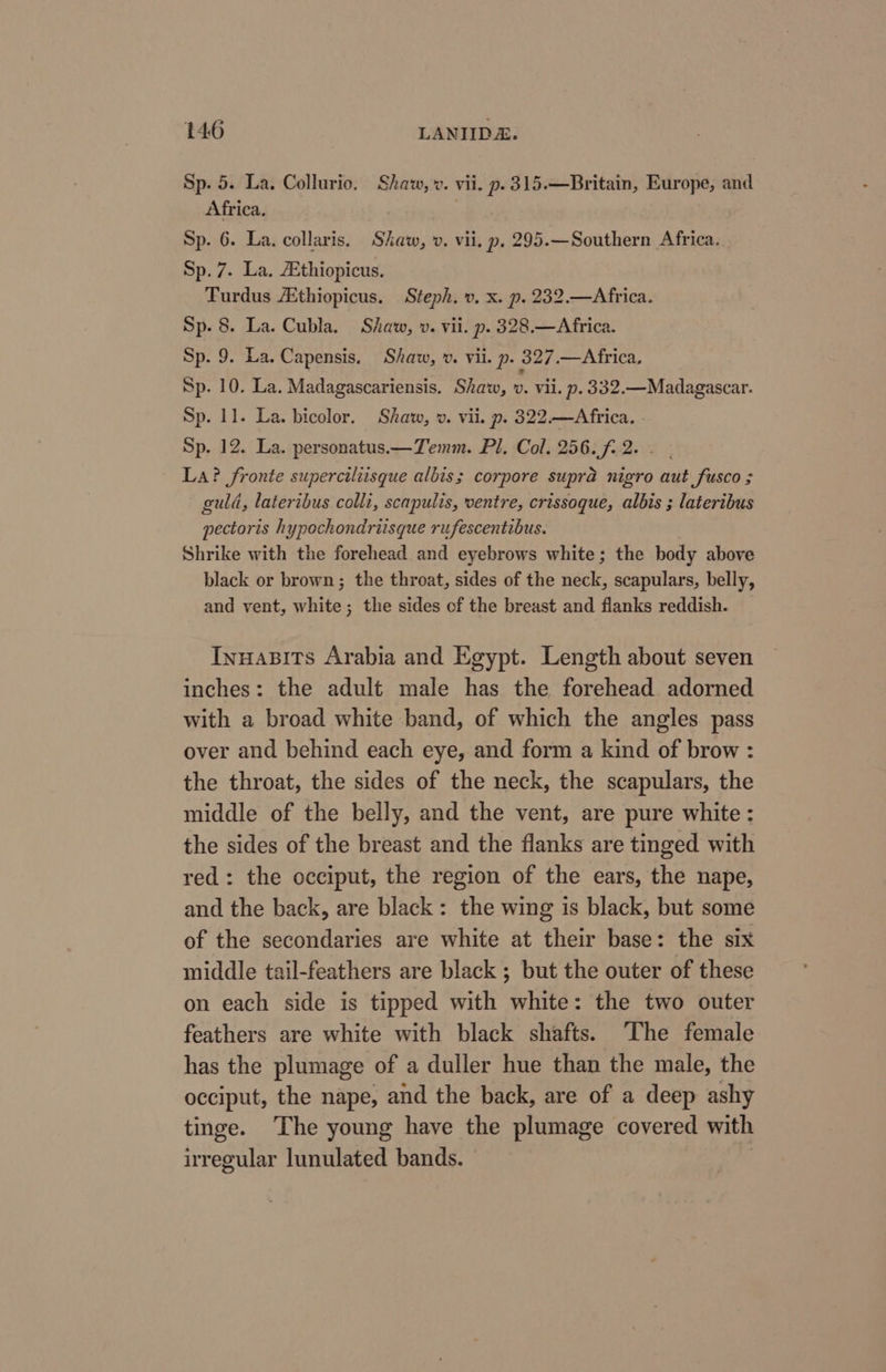 Sp. 5. La. Collurio. Shaw, v. vii. p. 315.—Britain, Europe, and Africa. | Sp. 6. La. collaris. Shaw, v. vil. p, 295.—Southern Africa. Sp. 7. La. Zthiopicus. Turdus Aithiopicus. Steph. v. x. p. 232.—Africa. Sp. 8 La. Cubla. Shaw, v. vii. p. 328.—Africa. Sp. 9. La. Capensis. Shaw, v. vil. p. 327.—Africa. Sp. 10. La. Madagascariensis. Shaw, v. vii. p. 332.—Madagascar. Sp. 11. La. bicolor. Shaw, ». vil. p. 322.—Africa. - Sp. 12. La. personatus.—Temm. Pl. Col. 256. f:2. . . La? fronte superciliisque albis; corpore supra nigro aut fusco ; guld, lateribus colli, scapulis, ventre, crissoque, albis ; lateribus pectoris hypochondrisque rufescentibus. Shrike with the forehead and eyebrows white; the body above black or brown; the throat, sides of the neck, scapulars, belly, and vent, white ; the sides of the breast and flanks reddish. Inuapits Arabia and Egypt. Length about seven inches: the adult male has the forehead adorned with a broad white band, of which the angles pass over and behind each eye, and form a kind of brow : the throat, the sides of the neck, the scapulars, the middle of the belly, and the vent, are pure white : the sides of the breast and the flanks are tinged with red: the occiput, the region of the ears, the nape, and the back, are black: the wing is black, but some of the secondaries are white at their base: the six middle tail-feathers are black ; but the outer of these on each side is tipped with white: the two outer feathers are white with black shafts. The female has the plumage of a duller hue than the male, the occiput, the nape, and the back, are of a deep ashy tinge. The young have the plumage covered with irregular lunulated bands.