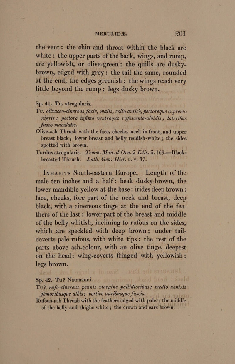 the vent: the chin and throat within the black are white : the upper parts of the back, wings, and rump, are yellowish, or olive-green: the quills are dusky- brown, edged with grey: the tail the same, rounded at the end, the edges greenish : the wings reach very little beyond the rump: legs dusky brown. Sp. 41. Tu. atrogularis. Tu. oltvaceo-cinereus facie, malis, collo anticé, pectoreque supremo nigris ; pectore infimo ventroque rufescente-albidis ; lateribus Susco maculatis. Olive-ash Thrush with the face, cheeks, neck in front, and upper breast black ; lower breast and belly reddish-white ; the sides spotted with brown. Turdus atrogularis. Temm. Man. d’ Orn.2 Edit. ii. 169.—Black- breasted Thrush. Lath. Gen. Hist. v. v. 37. , Inuasits South-eastern Europe. Length of the male ten inches and a half: beak dusky-brown, the lower mandible yellow at the base: irides deep brown: face, cheeks, fore part of the neck and breast, deep black, with a cinereous tinge at the end of the fea- thers of the last : lower part of the breast and middle of the belly whitish, inclining to rufous on the sides, which are speckled with deep brown; under tail- coverts pale rufous, with white tips: the rest of the parts above ash-colour, with an olive tinge, deepest on the head: wing-coverts fringed with yellowish: legs brown. Sp. 42. Tu? Naumanni. Tu? rufo-cinereus pennis margine pallidioribus ; medio ventris femoribusque albis; vertice auribusque fuscis. Rufous-ash Thrush with the feathers edged with paler ; the middle of the belly and thighs white ; the crown and ears brown.